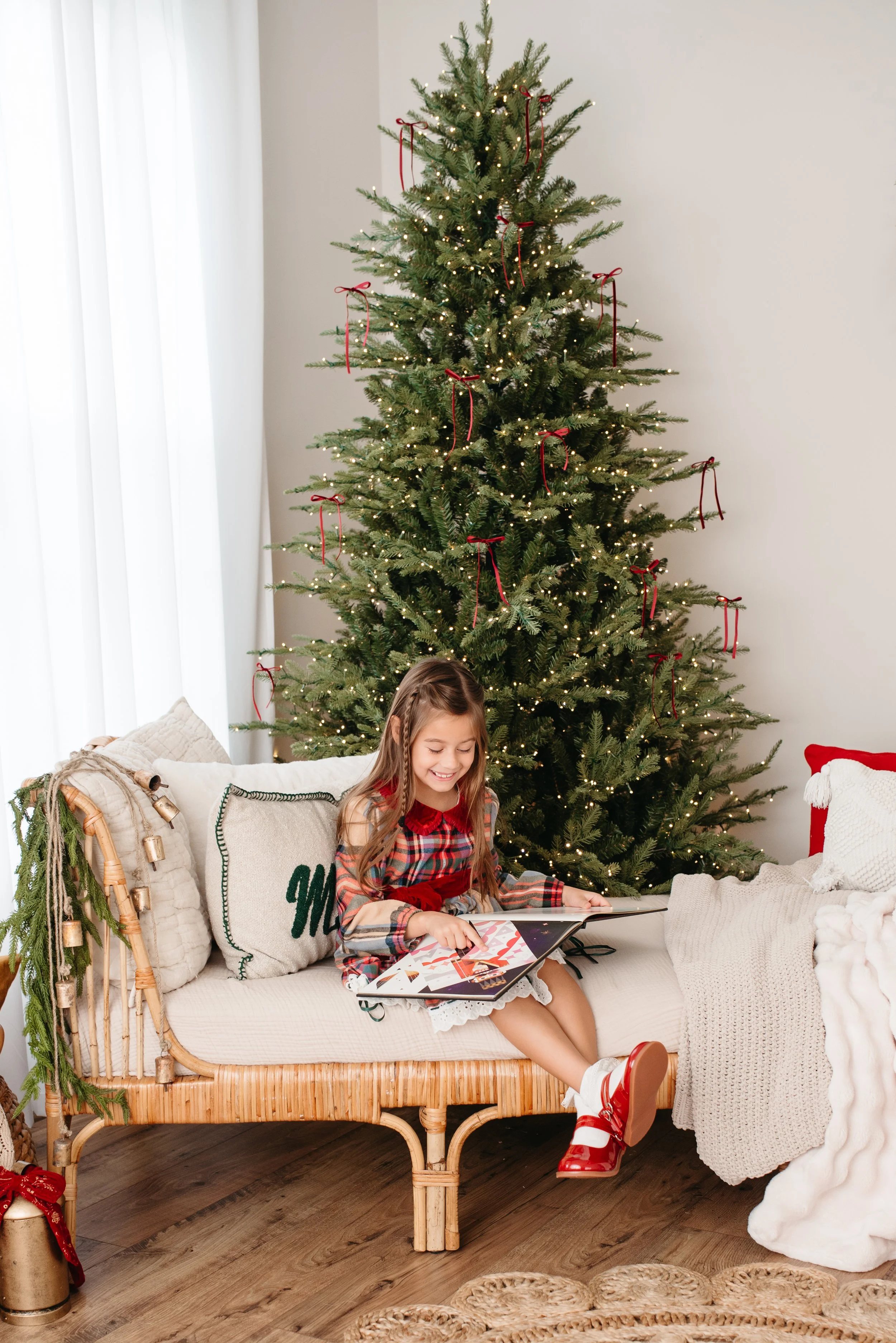 Northern VA Holiday Mini session-6.jpg