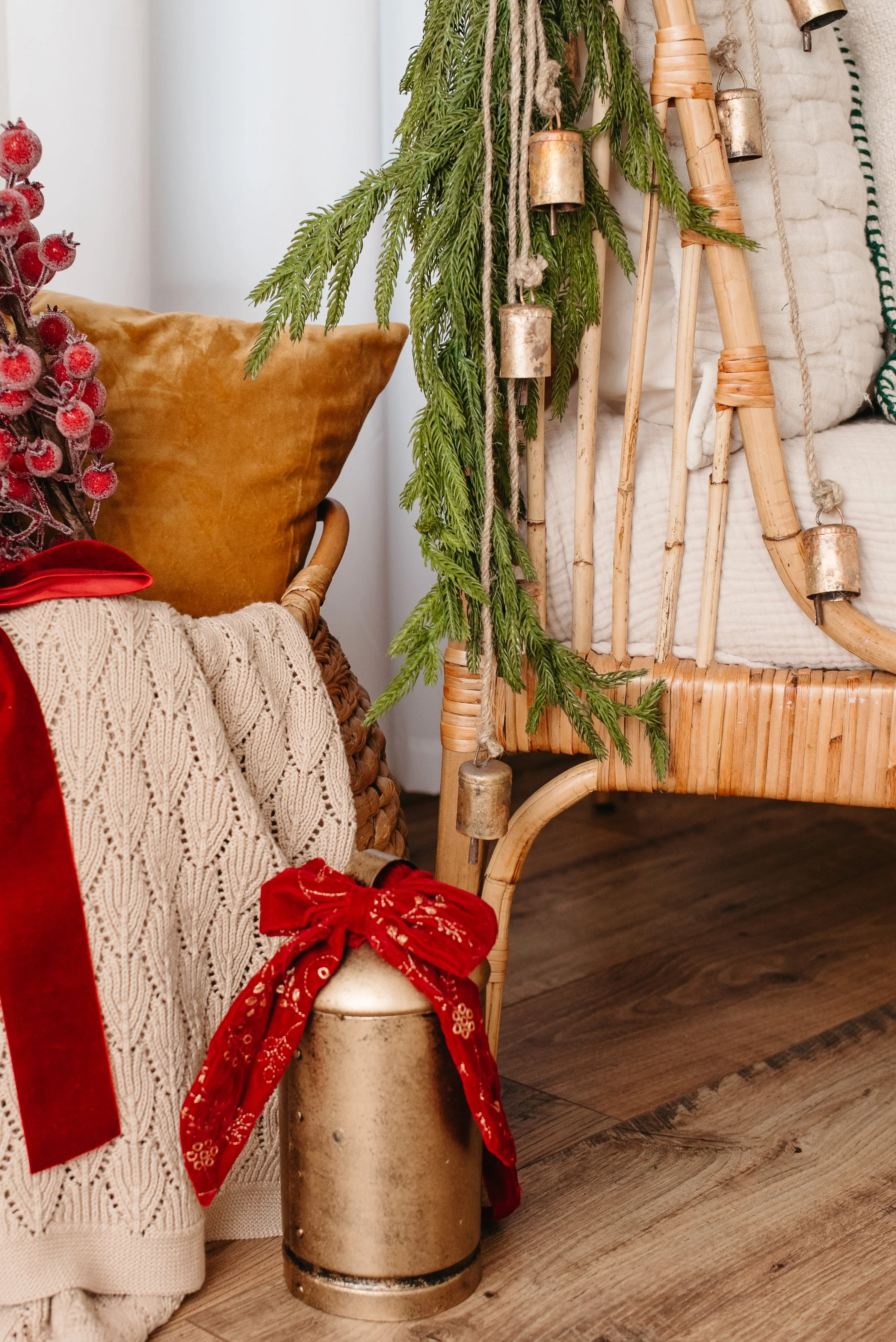 Northern VA Holiday Mini session-2.jpg