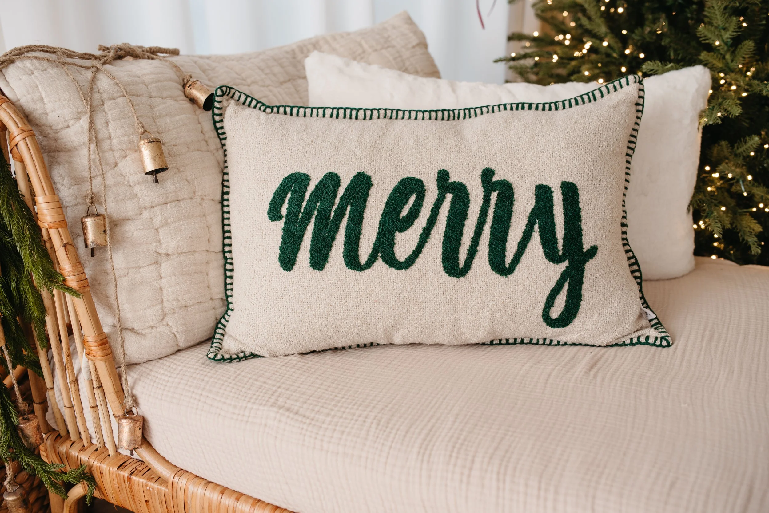 Northern VA Holiday Mini session-1.jpg
