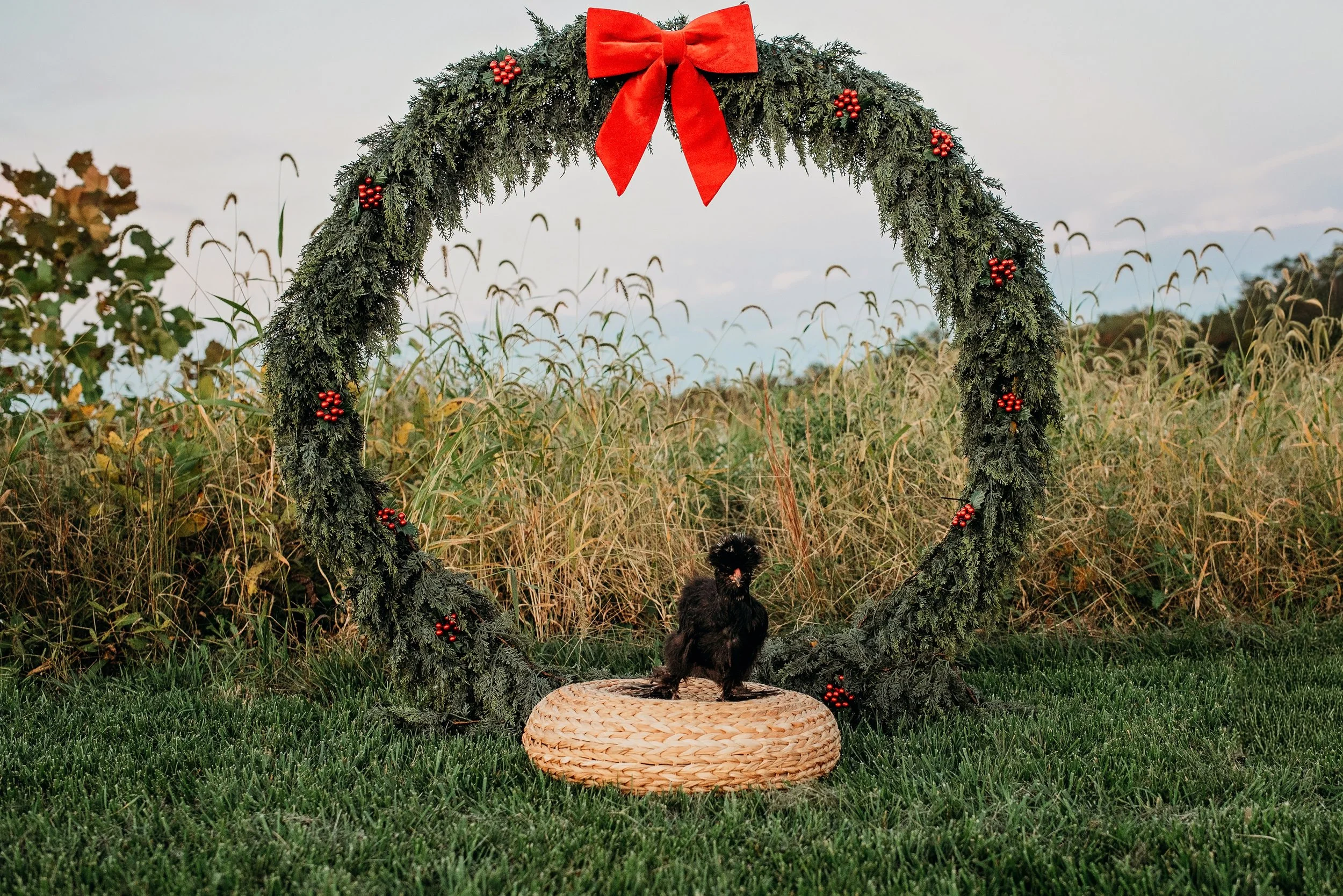 cheesehead holiday small.jpg