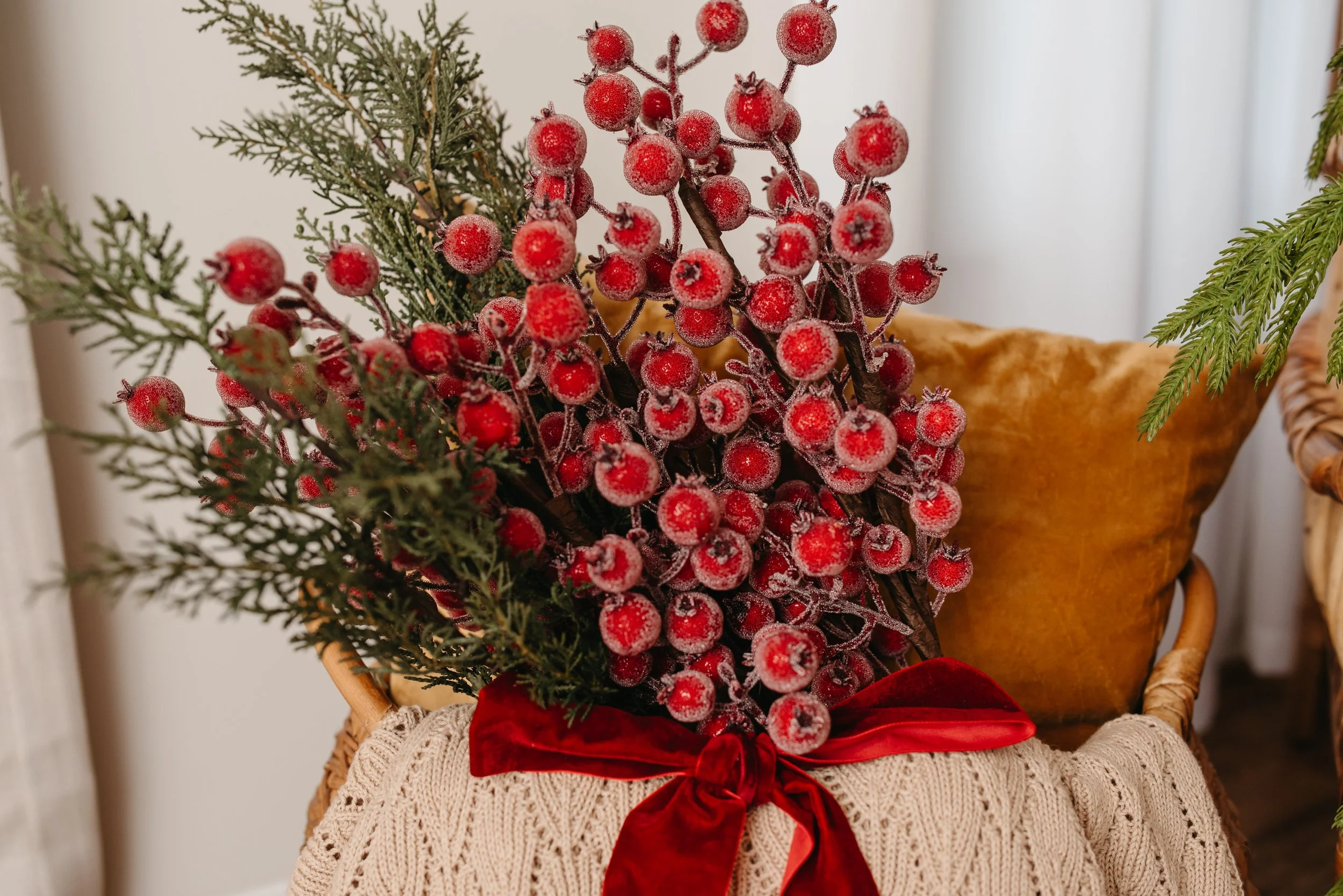 Northern VA Holiday Mini session-3.jpg