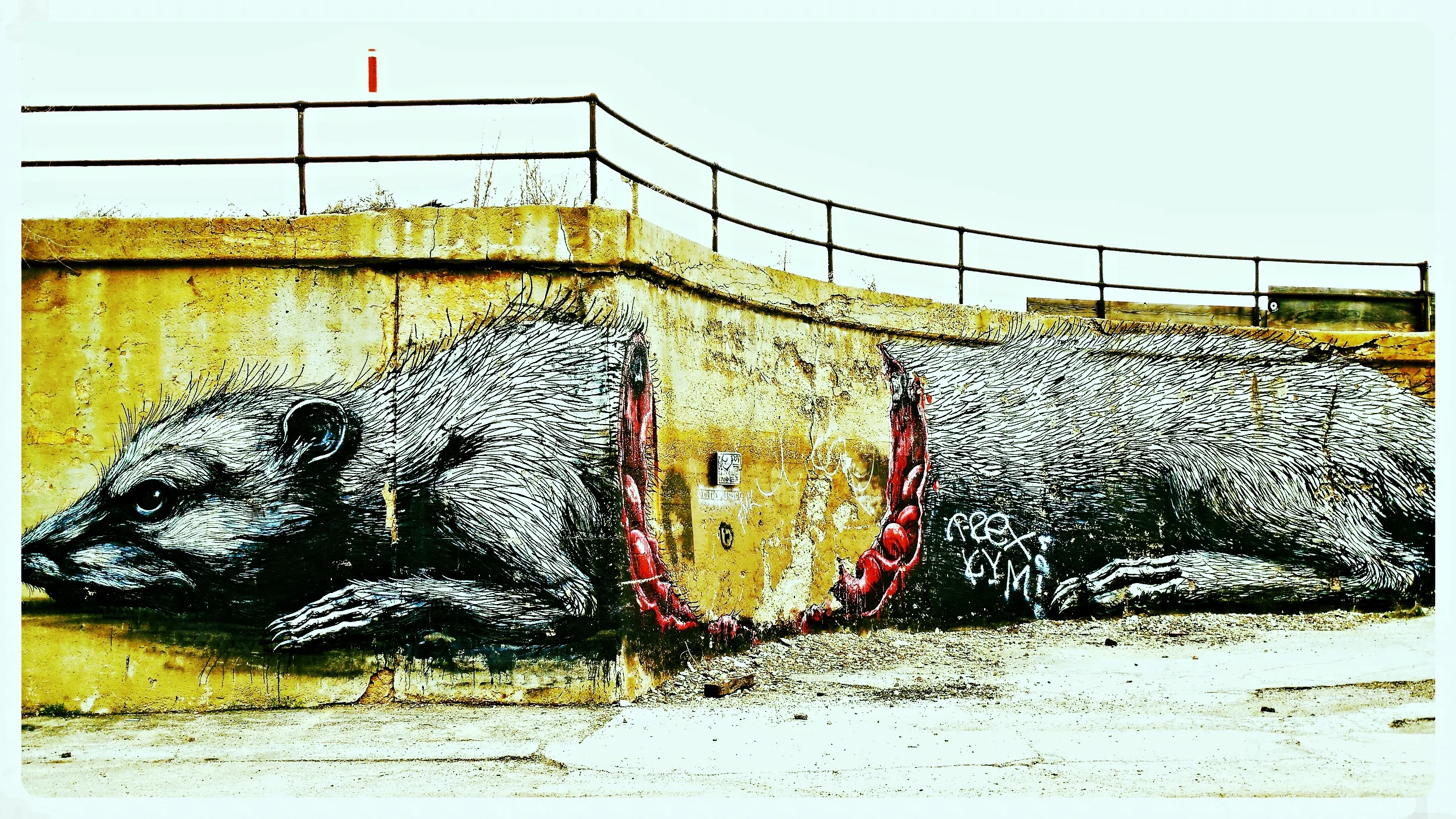 Cannibal Rat