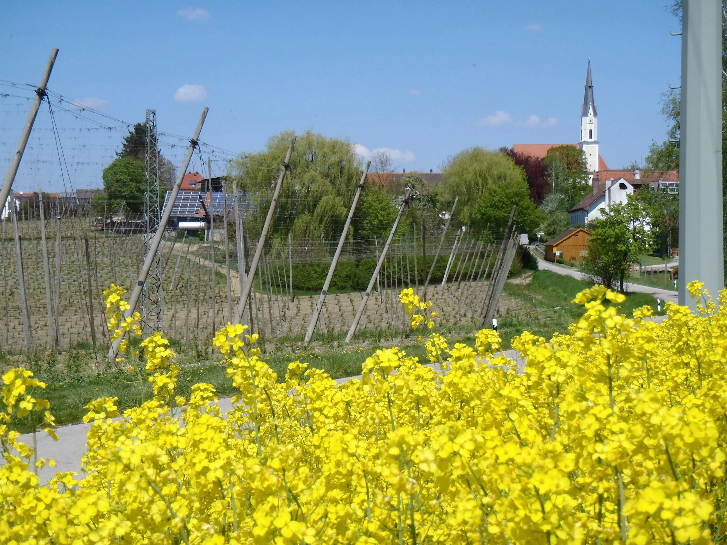 Agricultural district of Hallertau
