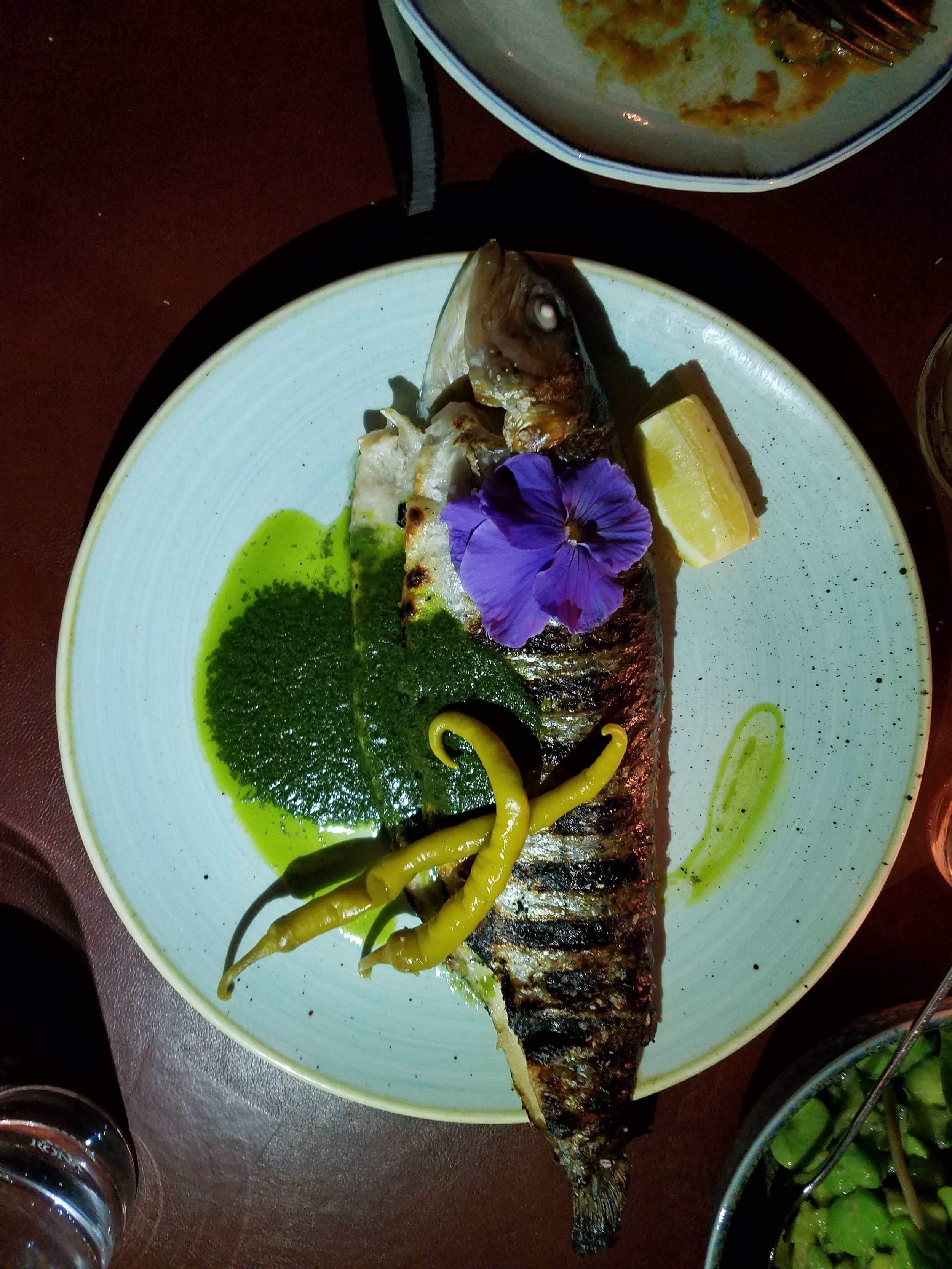 20160330_201249.jpeg