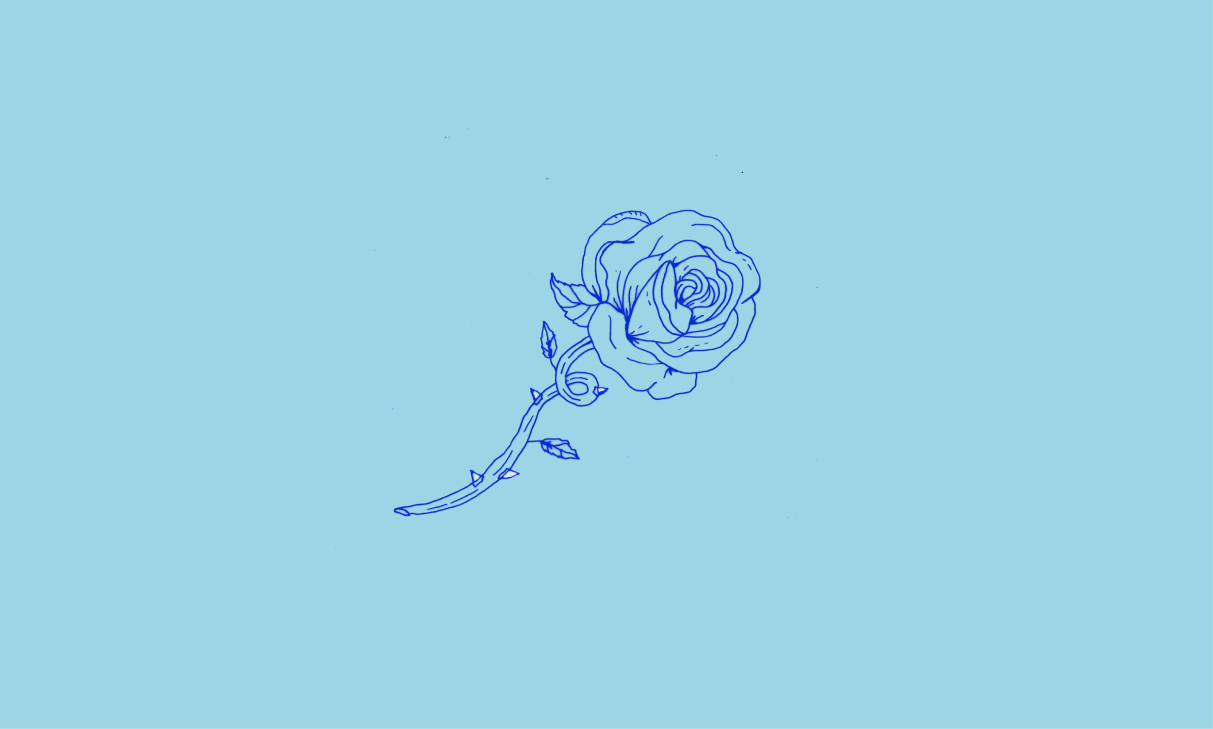 illustrations web-08.png