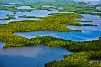 everglades_01.jpg