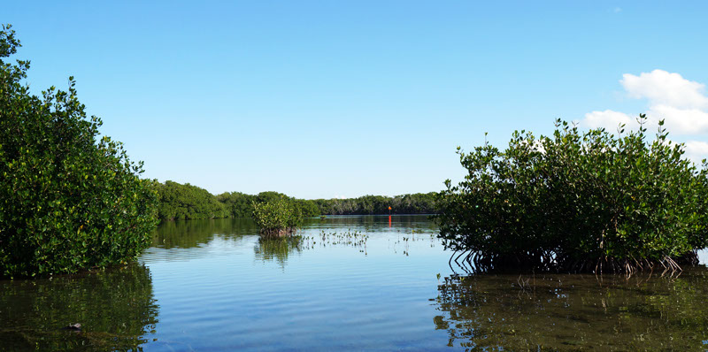 dsc02354-crop-u8240.jpg