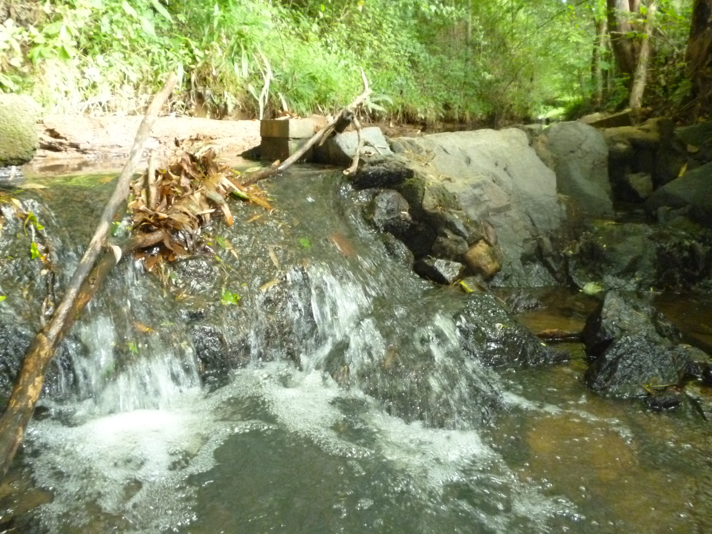  Two-foot high rock dam upstream of Bridge 000270 