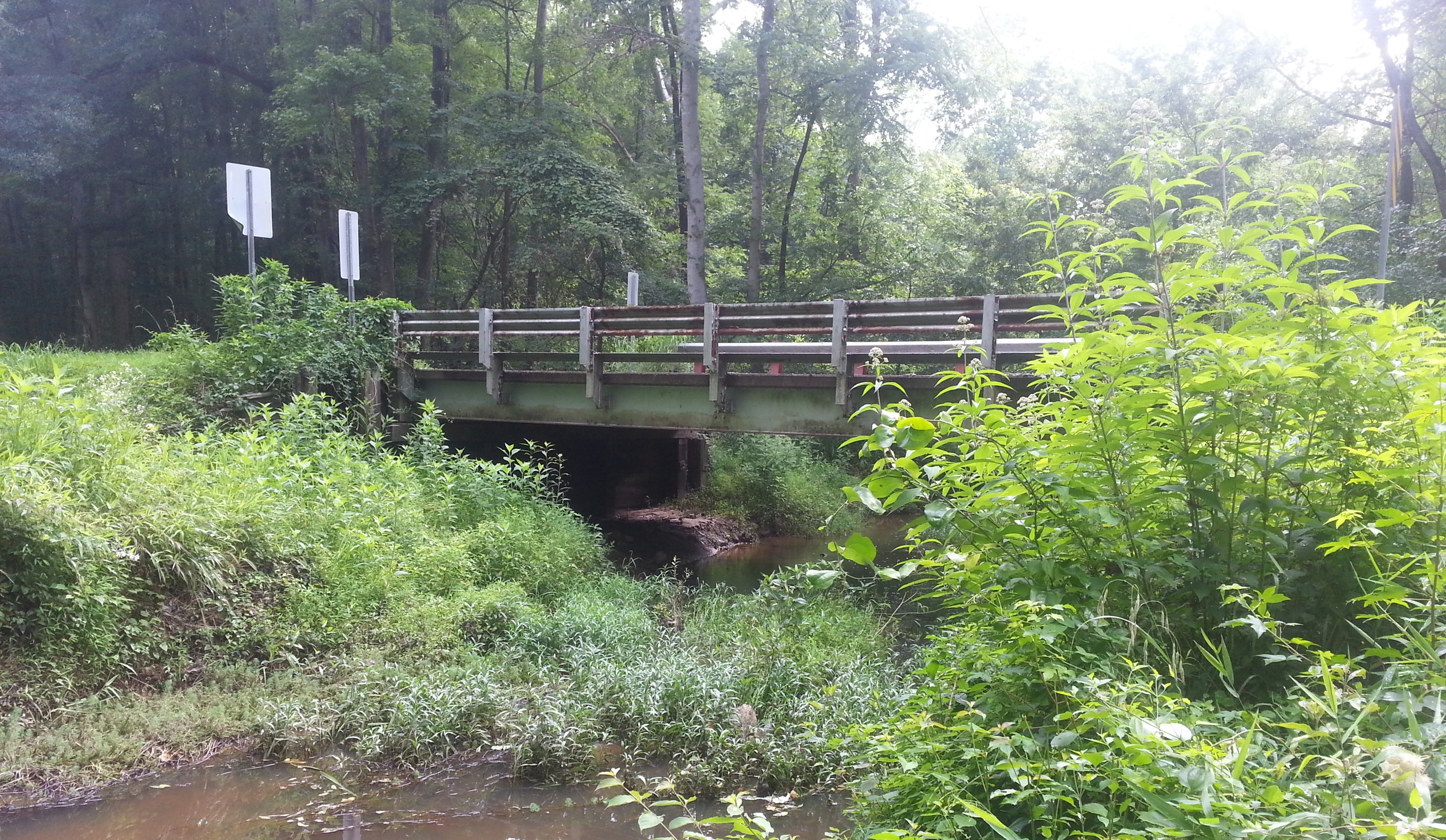 101-UPS br prof, lkg ea.jpg