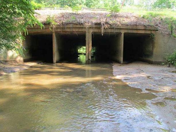 Upstream View of Culvert_Page_15.jpg