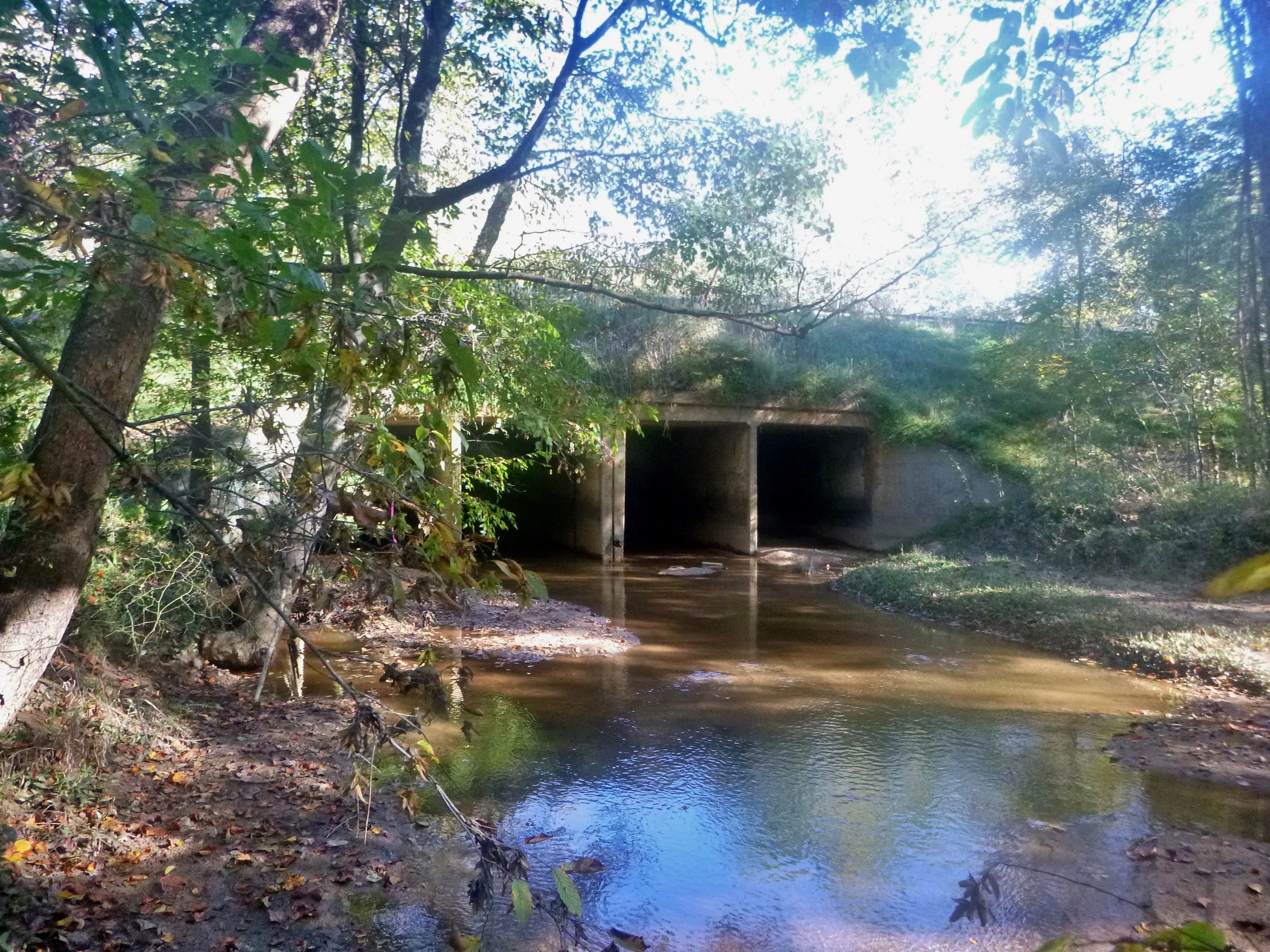 WinstonSalem_Oct14 002.JPG