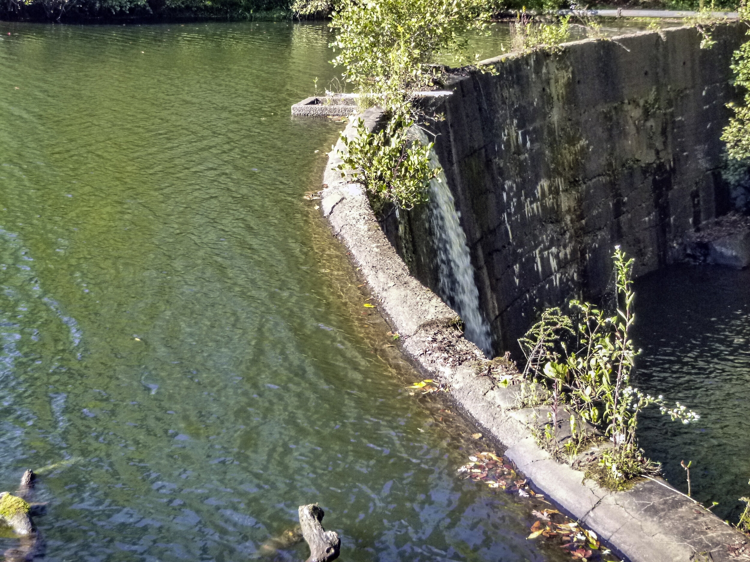  Lake Powhatan dam, Buncombe County, NC 
