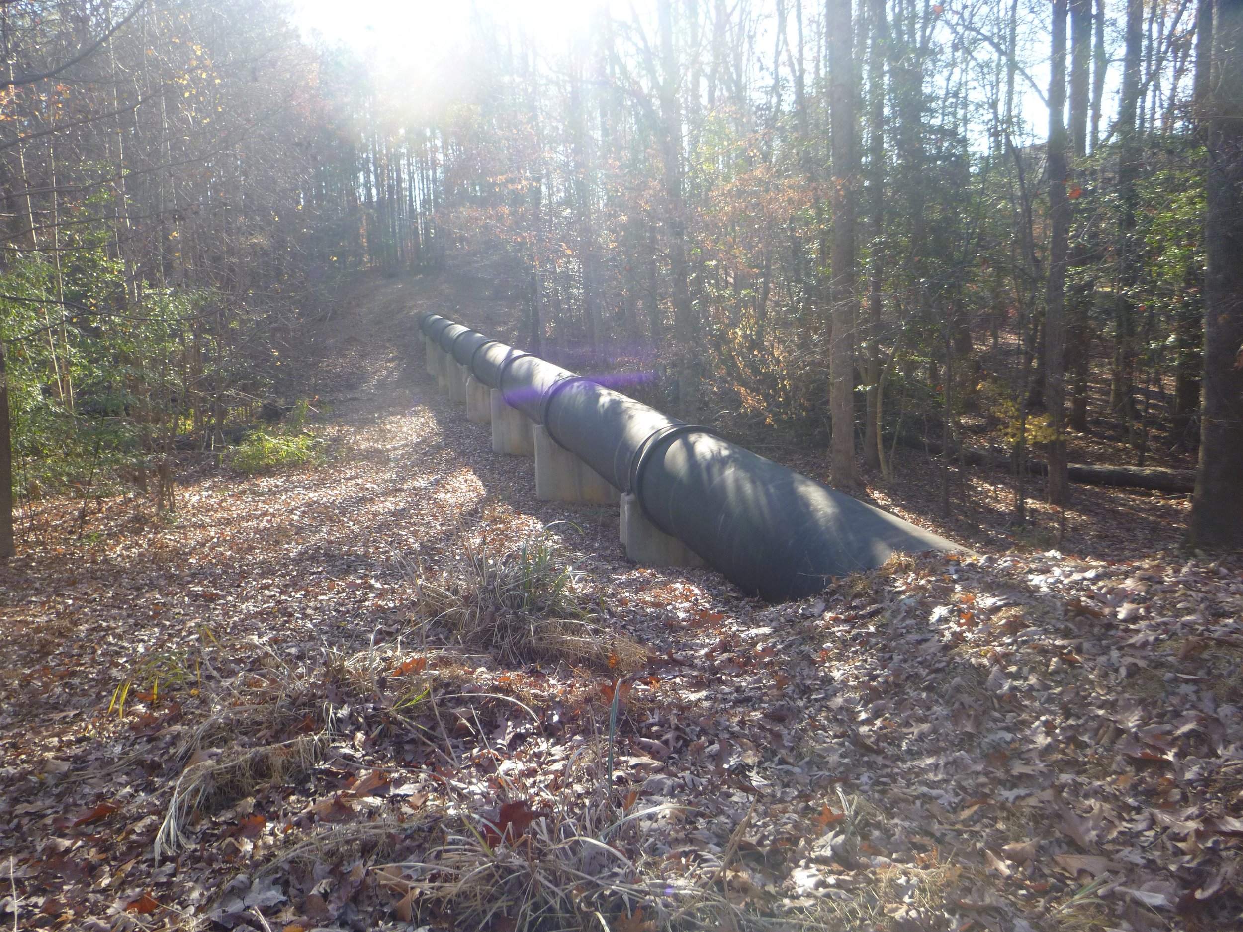 The Camp Branch Sewer Pipe 