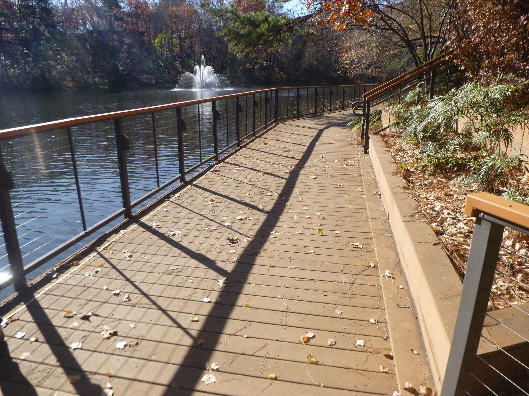  The original timber boardwalk during assessment 