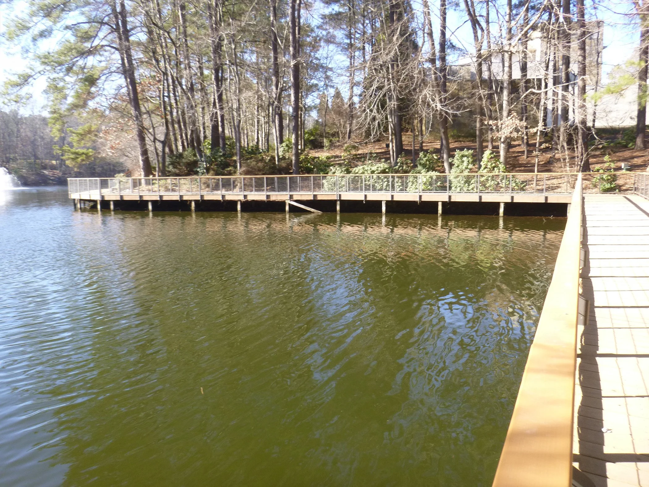  The boardwalk from a distance 