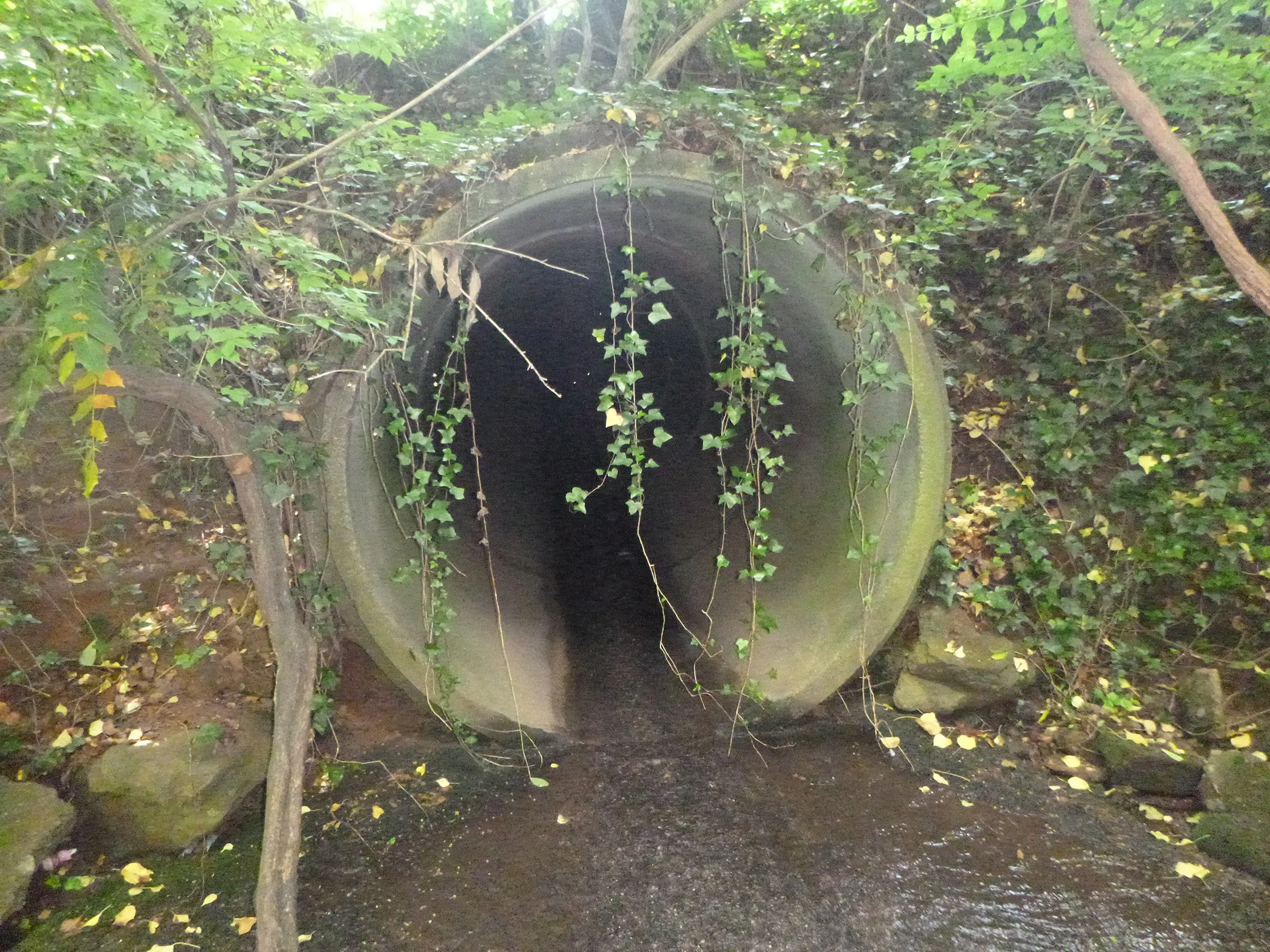  A small pipe culvert in Winston-Salem 