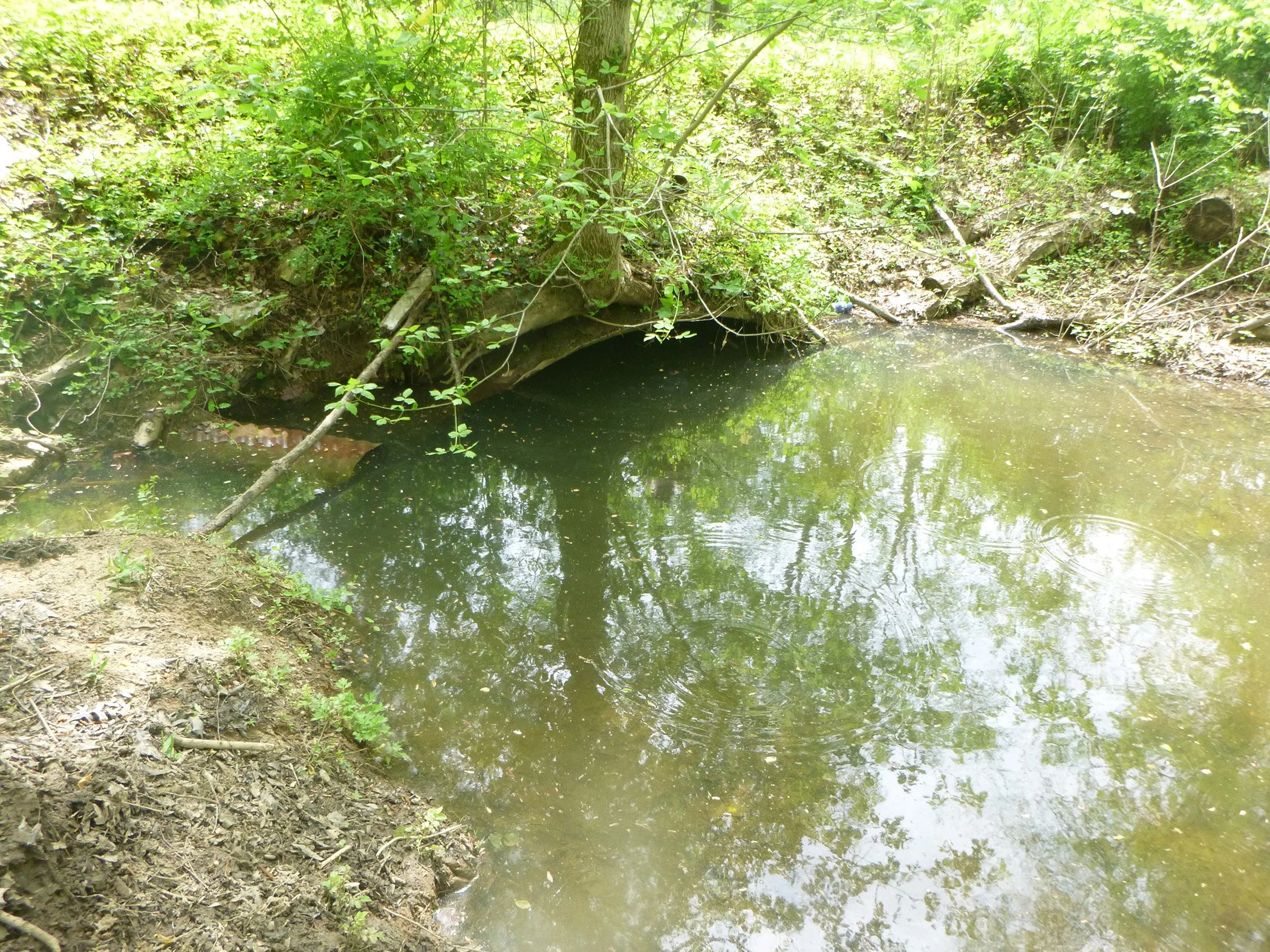  A flooded culvert 