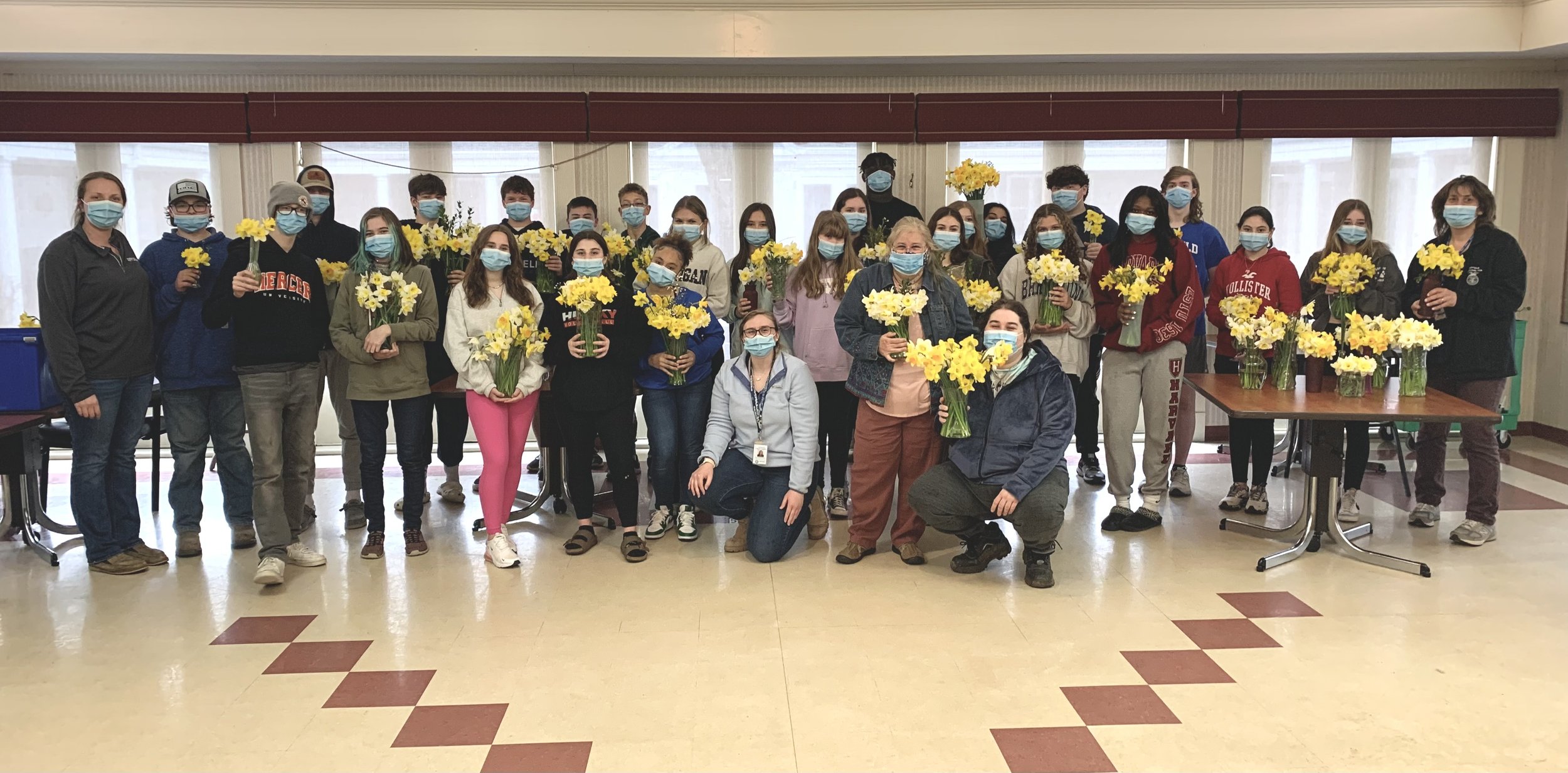 Daffodils from Suffield High School