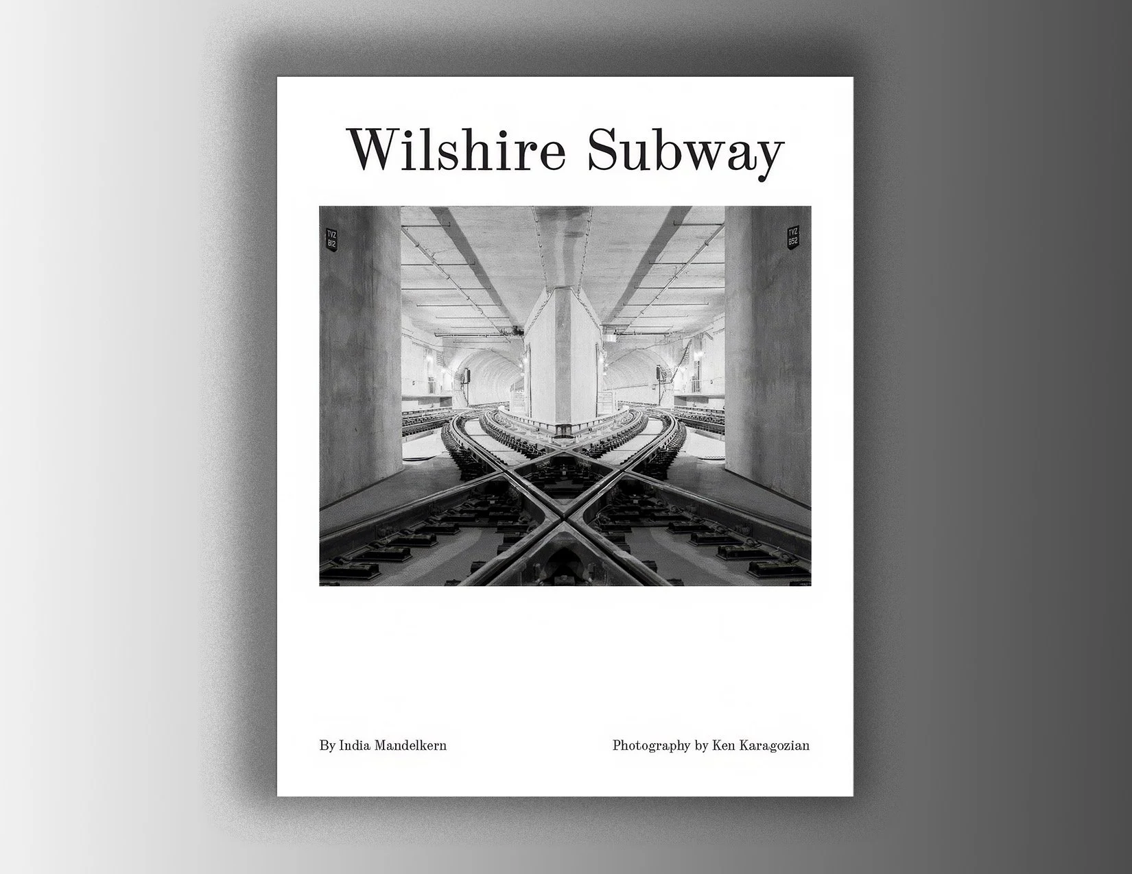 Wilshire book with grey background copy.jpeg