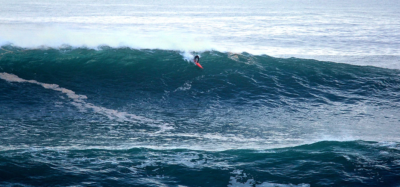 Tony charges on a beast // photo. Jeff Flindt