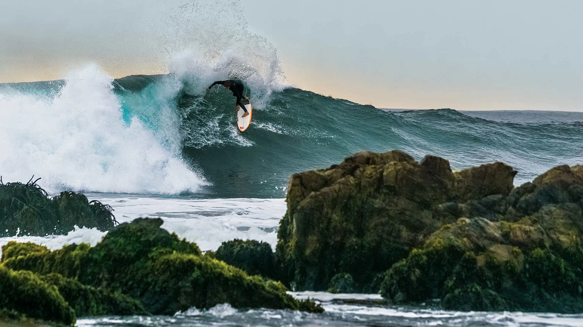  @patagonia