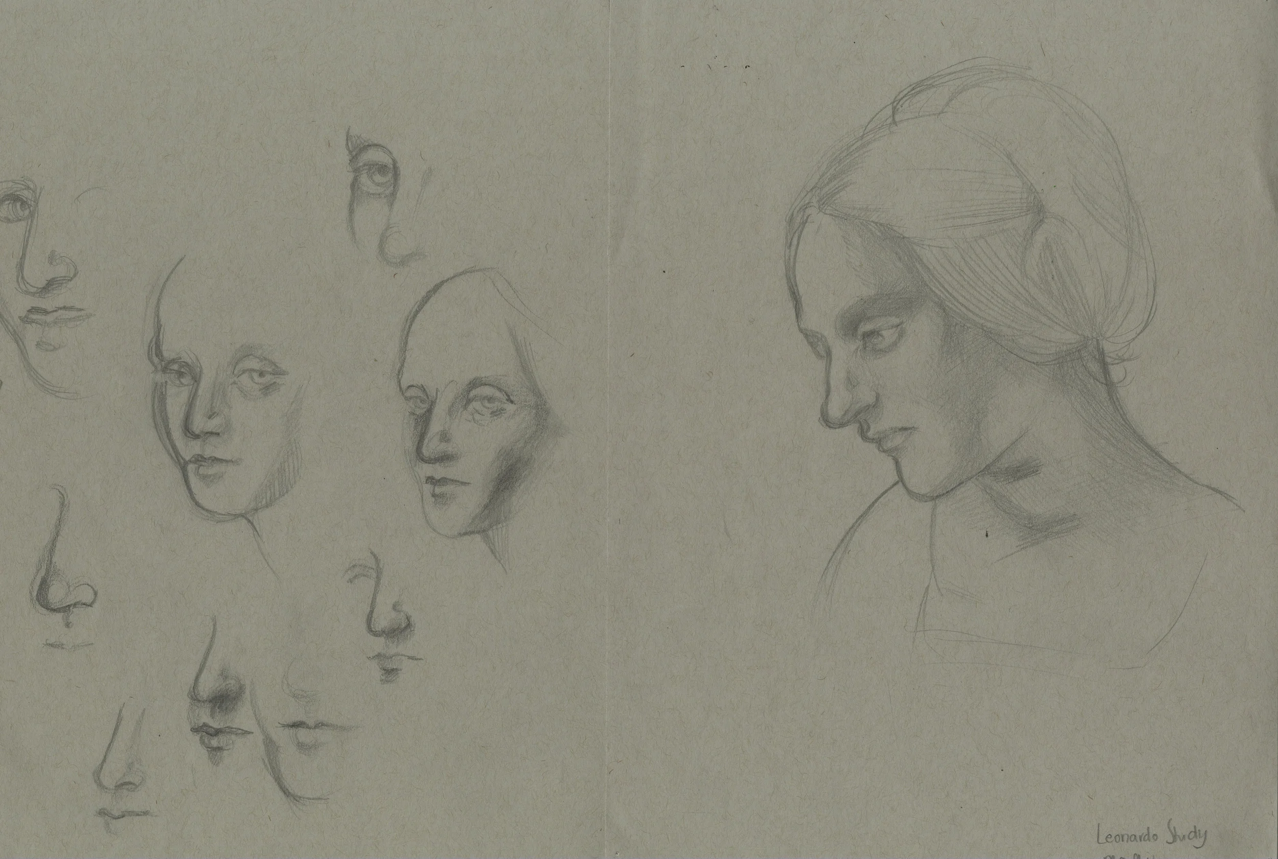 MASTER SKETCH.jpg