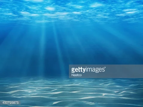 Photo by Nastco/iStock / Getty Images