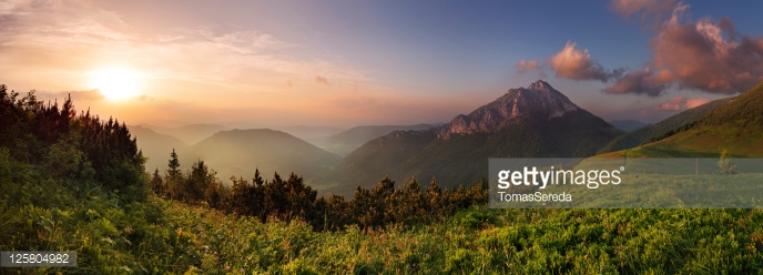Photo by TomasSereda/iStock / Getty Images