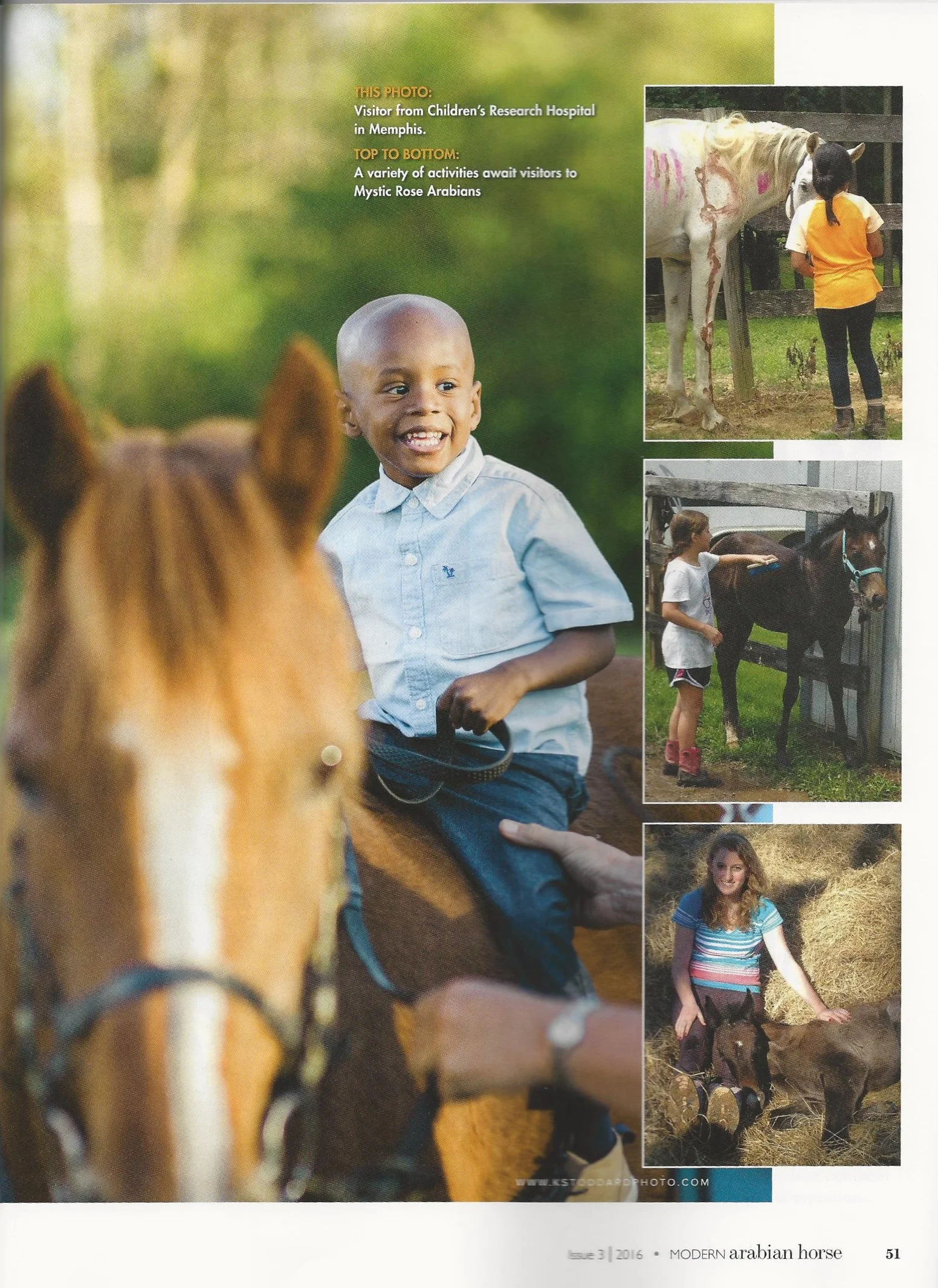 Discovery Farm Article2.jpg