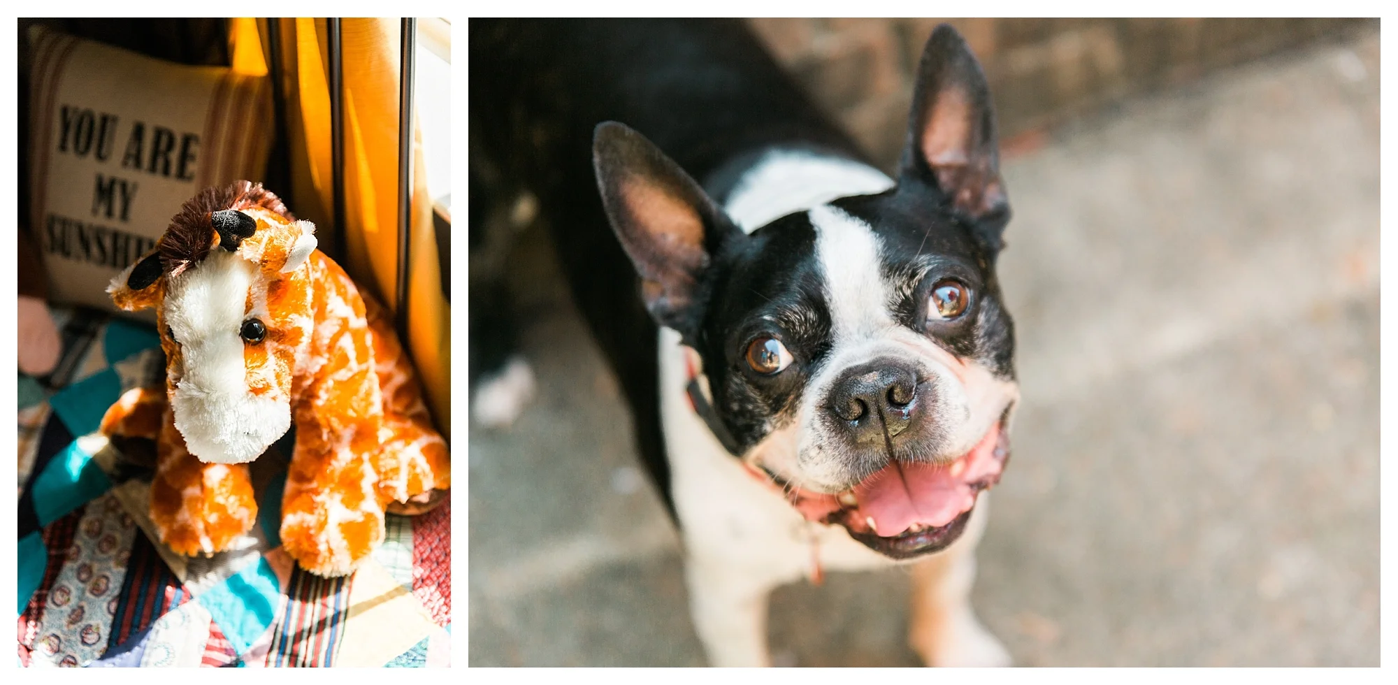 Bringing Home The Cooper Kiddos - Cooper Adoption - Kaitlyn Stoddard Photography© Kaitlyn Stoddard-Carter - 05.jpg