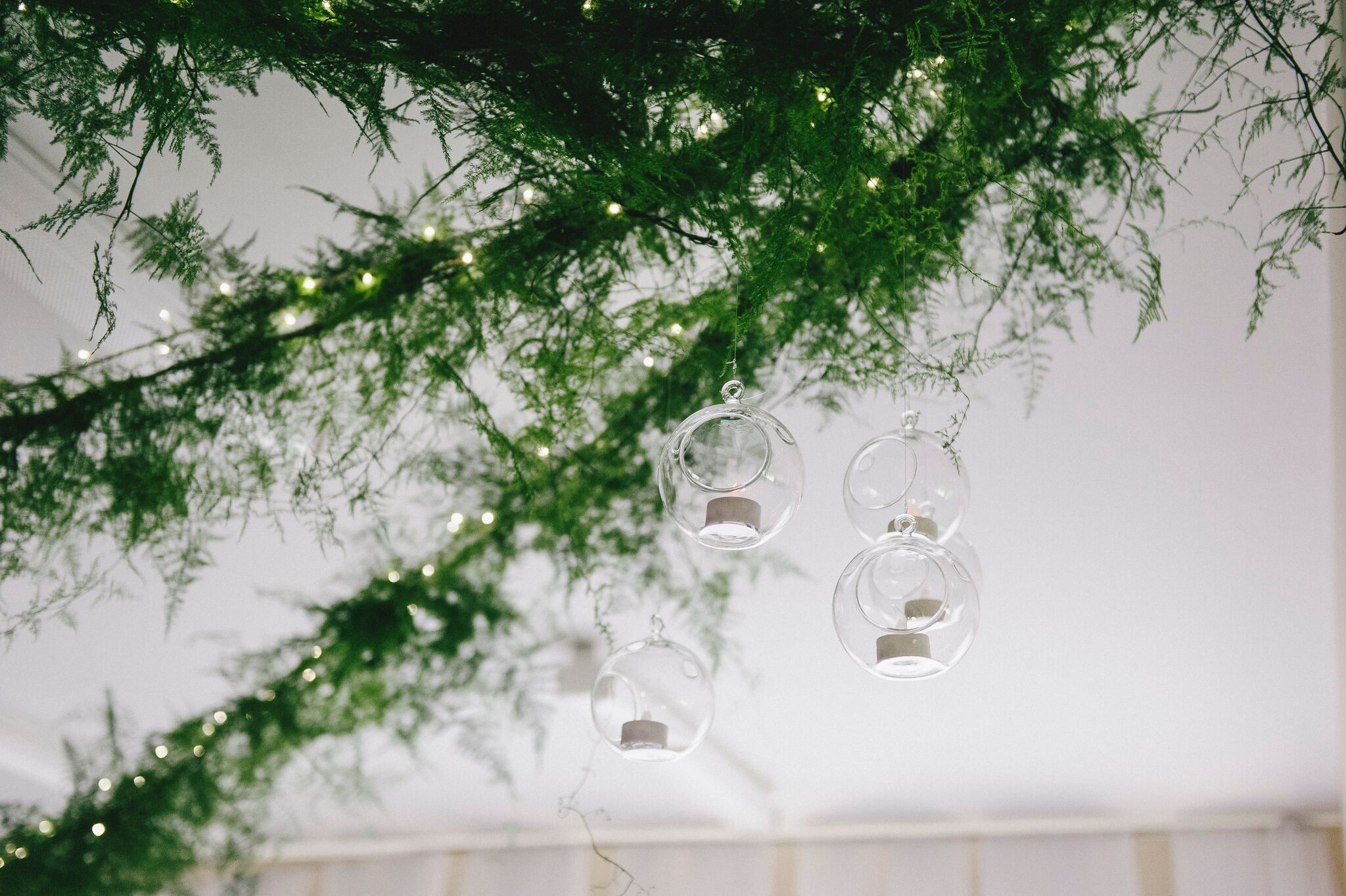 Kate and Josh 175.jpg