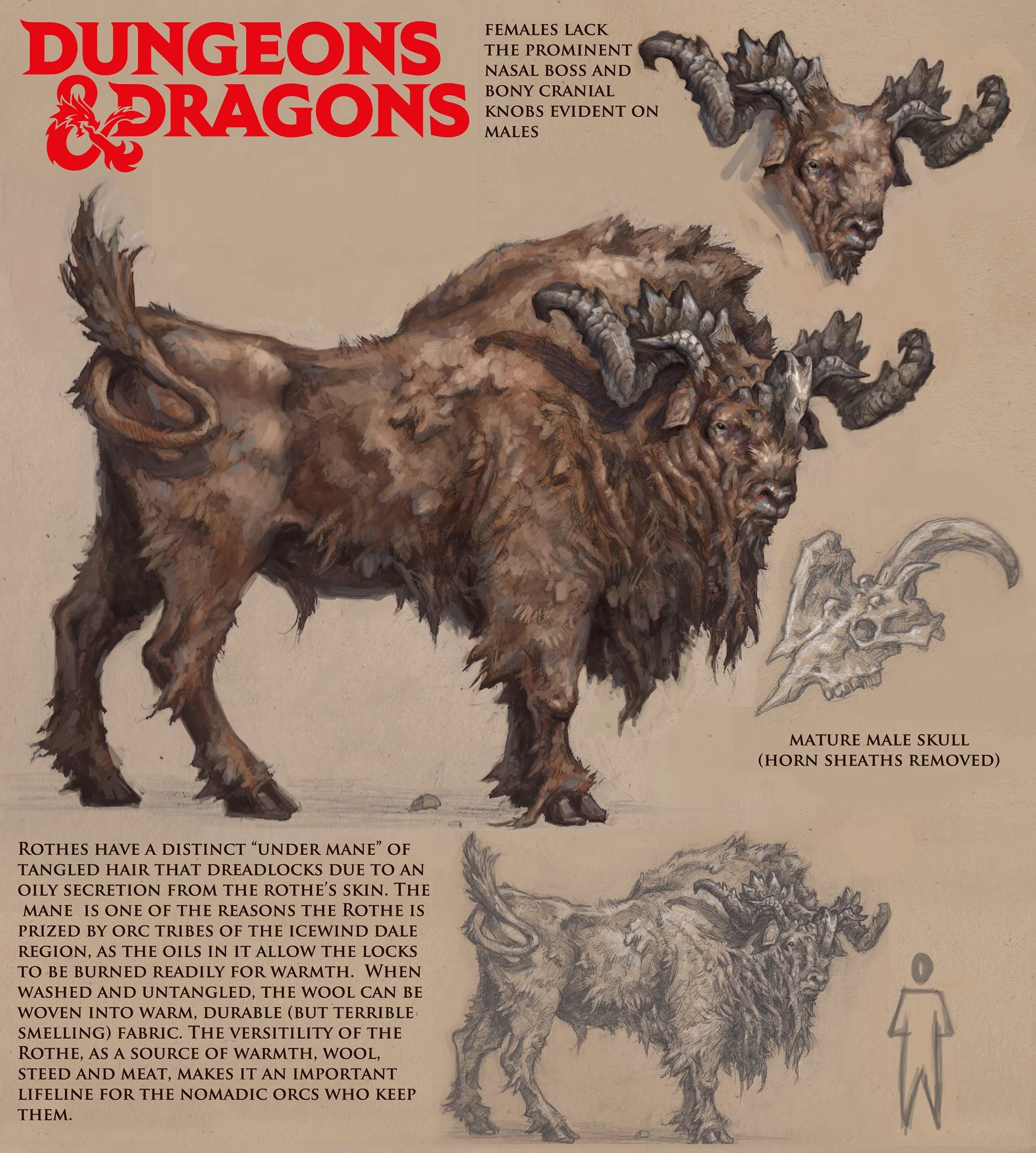 DnD_Rothe_TomBabbey.jpg