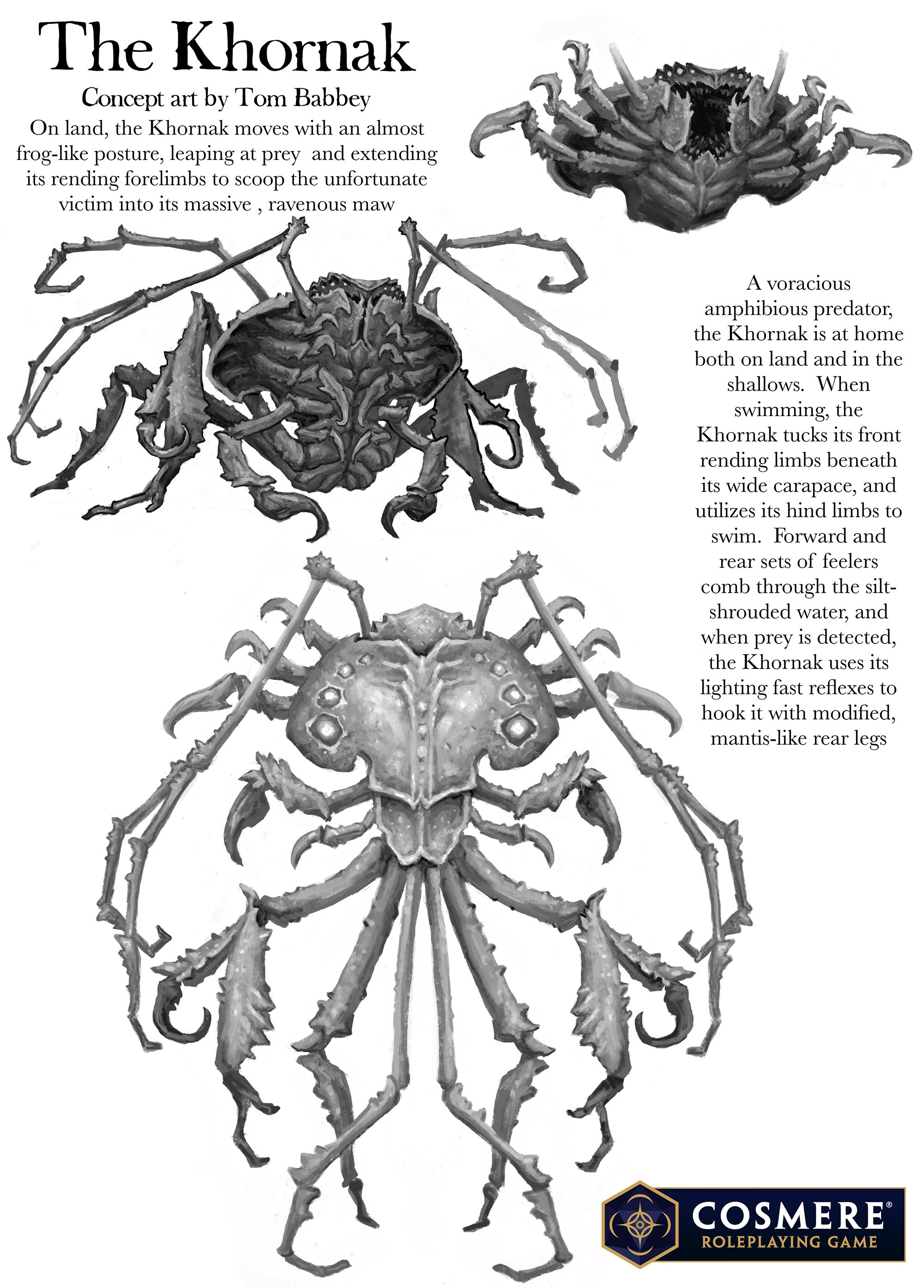 Khornak_Anatomy_TomBabbey.jpg