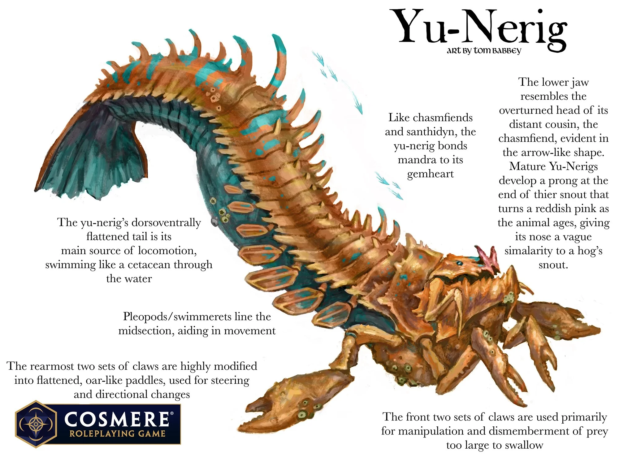 YuNerig_Anatomy_TomBabbey.jpg