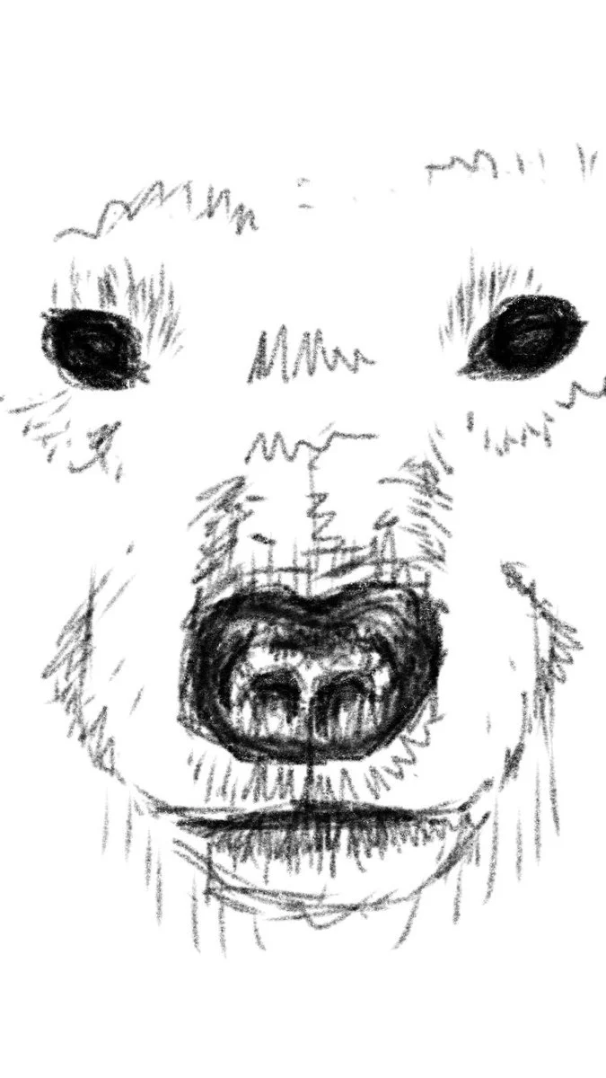 C0tiXMbUAAA9gO5.jpg