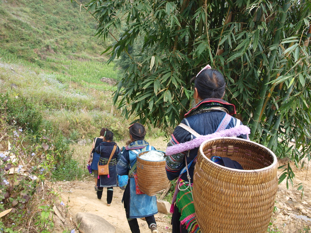 sapa trekking.jpeg