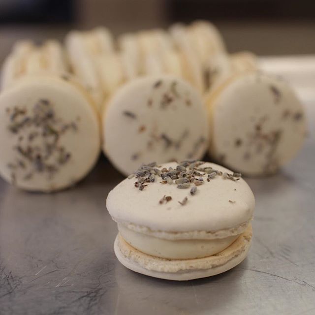 We love having @edenbakeryredding Macarons in our shop! Right now we have honey lavender and sea salt caramel flavors and they are delicious 🤤 !These tasty treats make a great bite to either complement your ice cream or a perfect bite all on their o