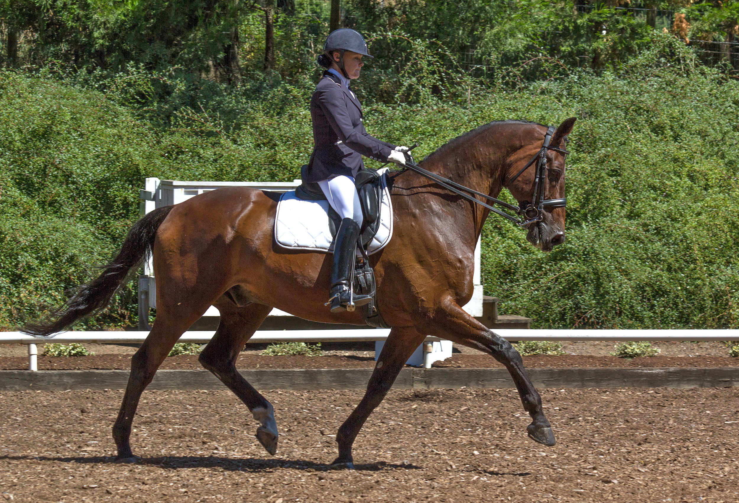 GOOD WEEKEND AT THE BCDC'S!