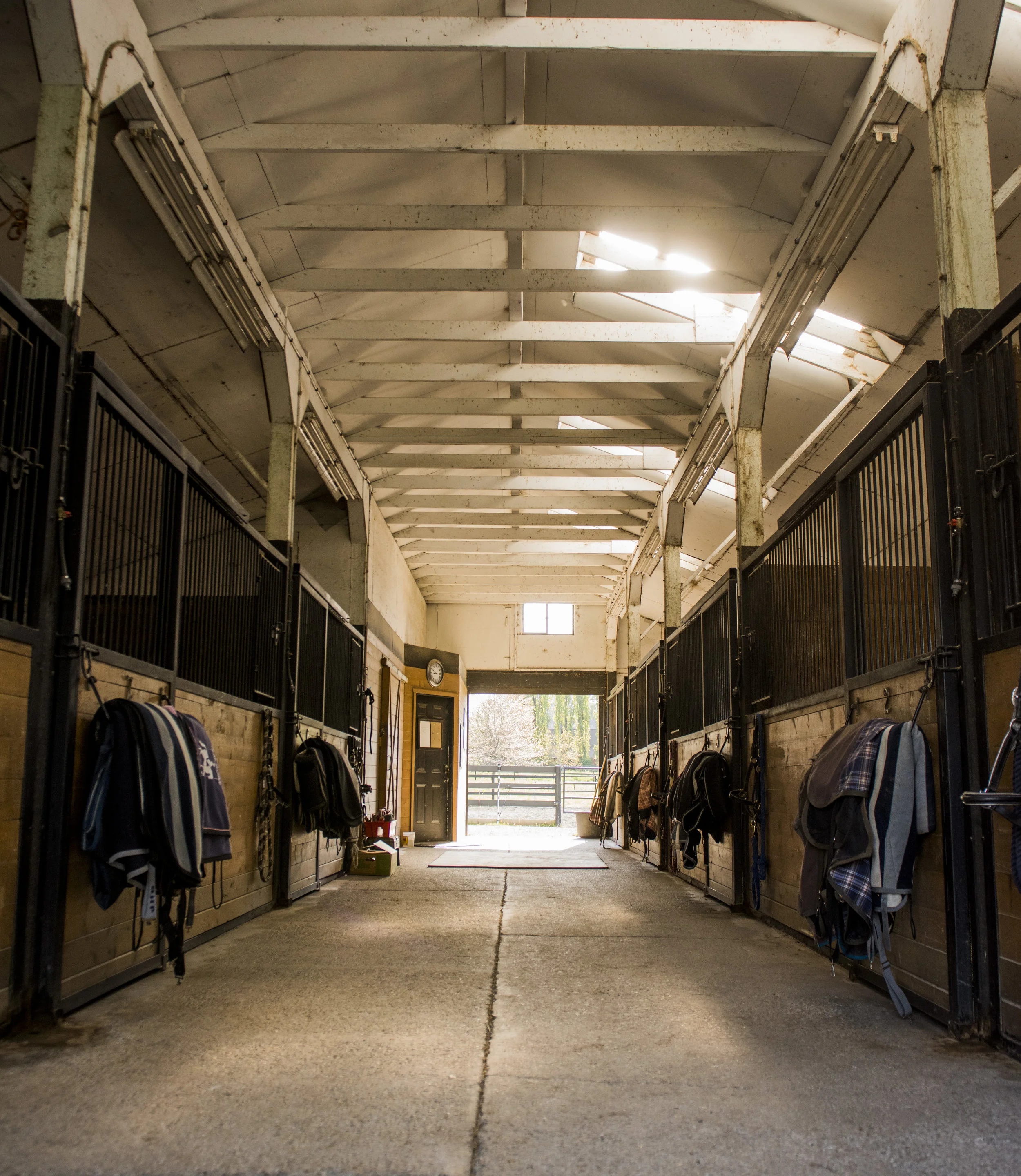 The highest quality care in a horse and people friendly environment.