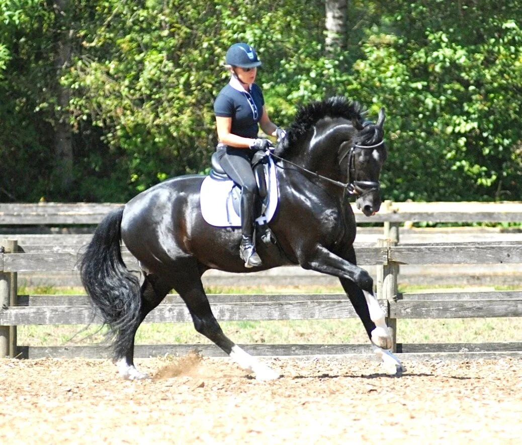 Diamond Stud and me...special boy!