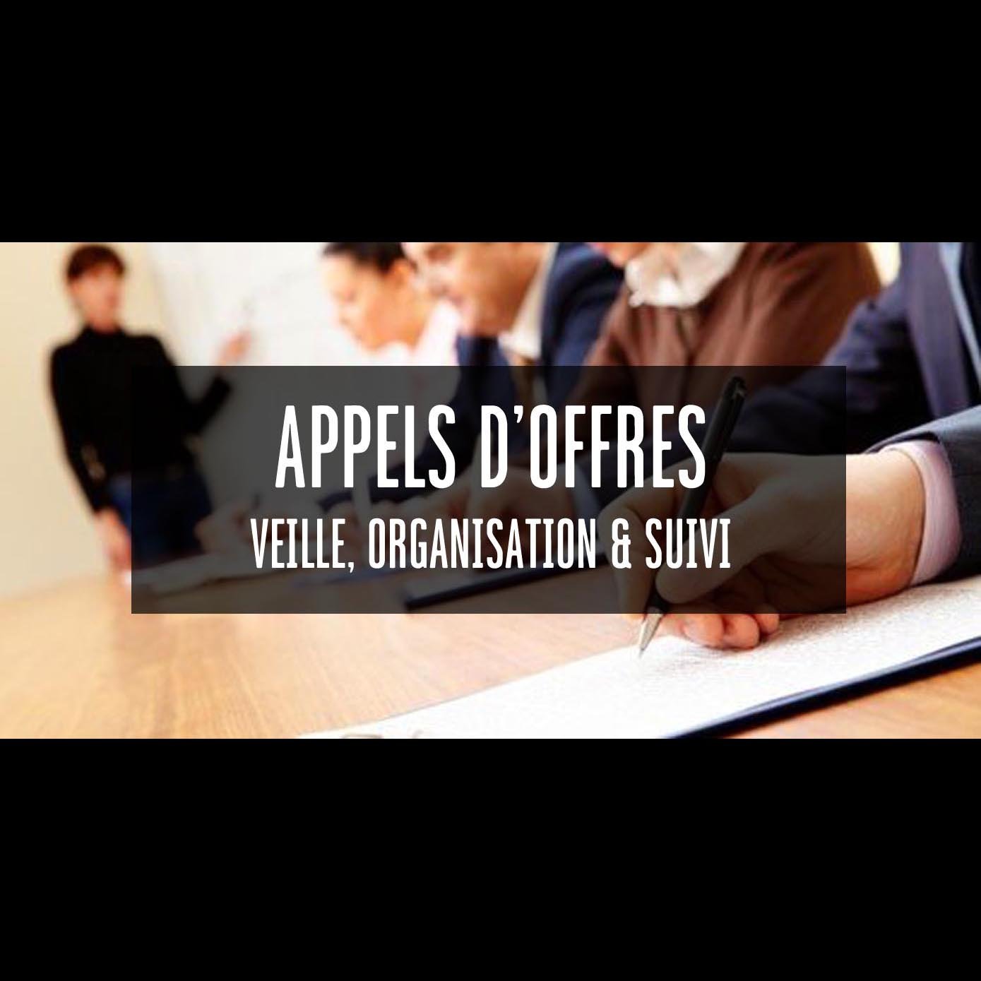 Workshop - Veille, organisation et suivi des Appels d'Offres - Durée : 2h30