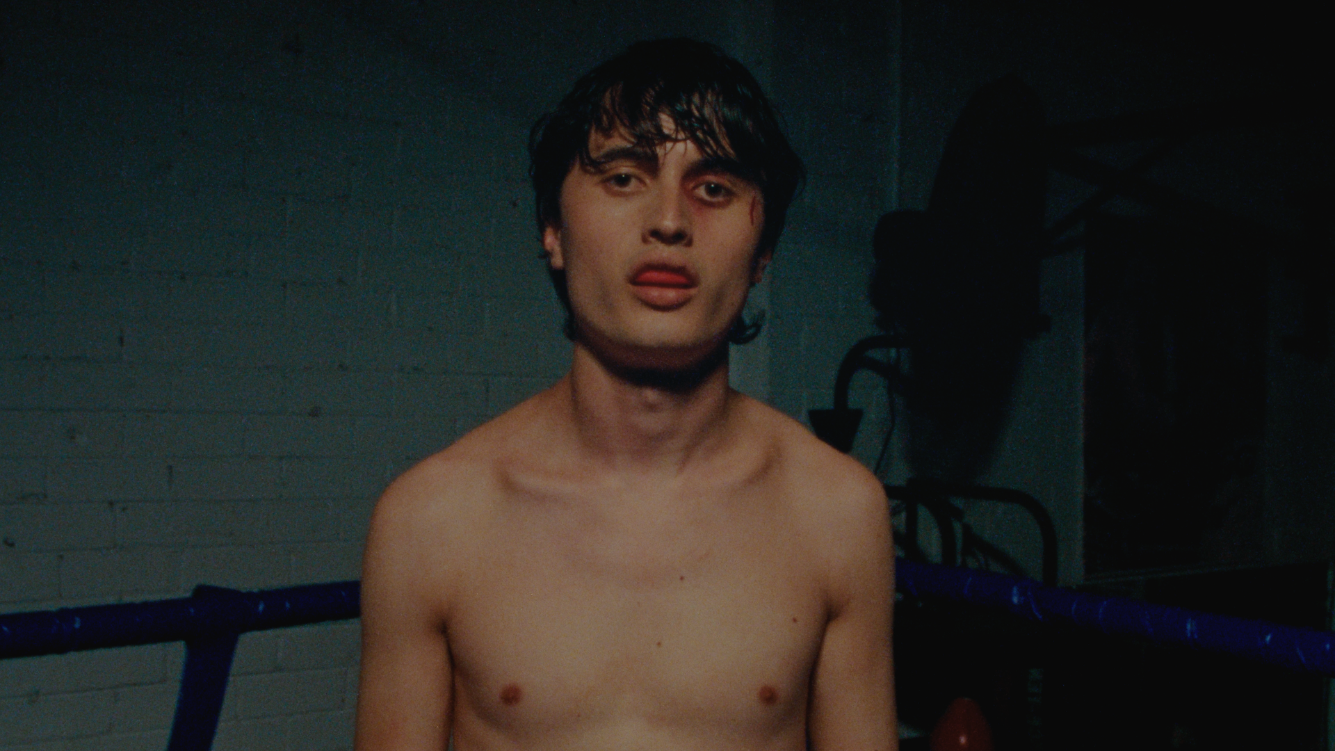 NICK WARD - SHOOTING STAR