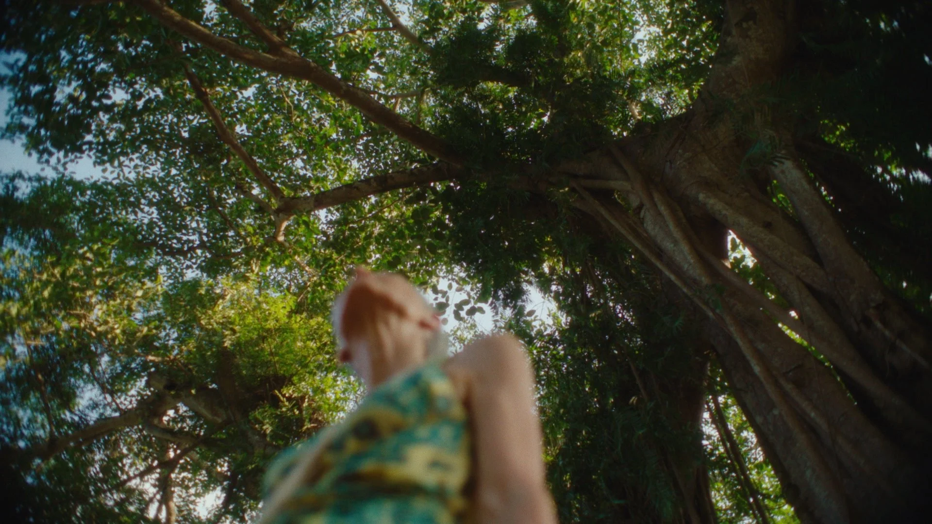 Timeline 1_01_00_35_11.jpg