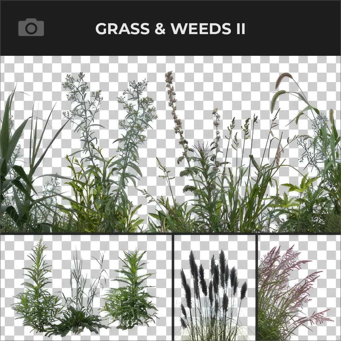 GRASS & WEEDS II.jpg