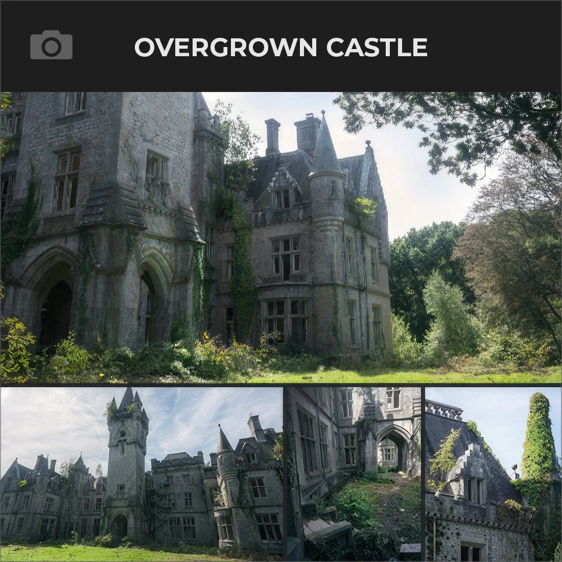 OVERGROWN CASTLE.jpg