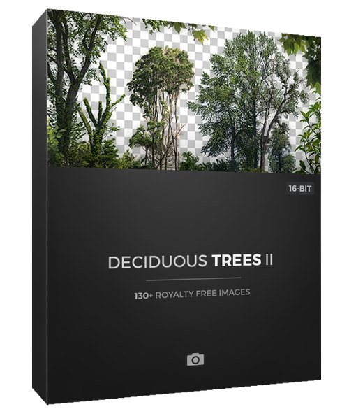 deciduous-trees-ii-photobash-high-quality-reference-photos-masked