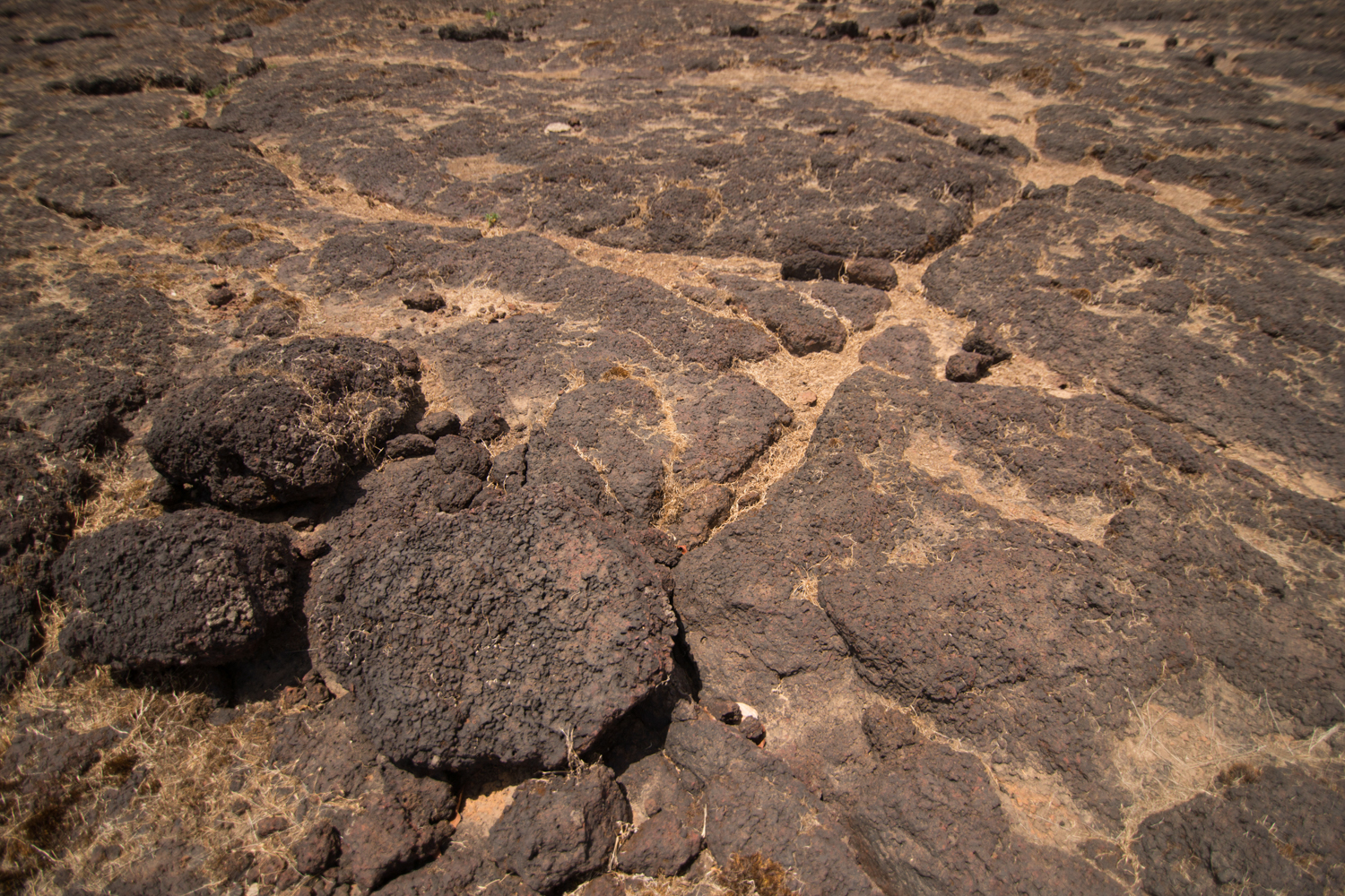  Lateritic soils are rich in aluminium and iron. Rocks on the Chalkewadi plateau, in the Satara district, show typical signs of weathering with the reddish tinges formed by rusting iron. 