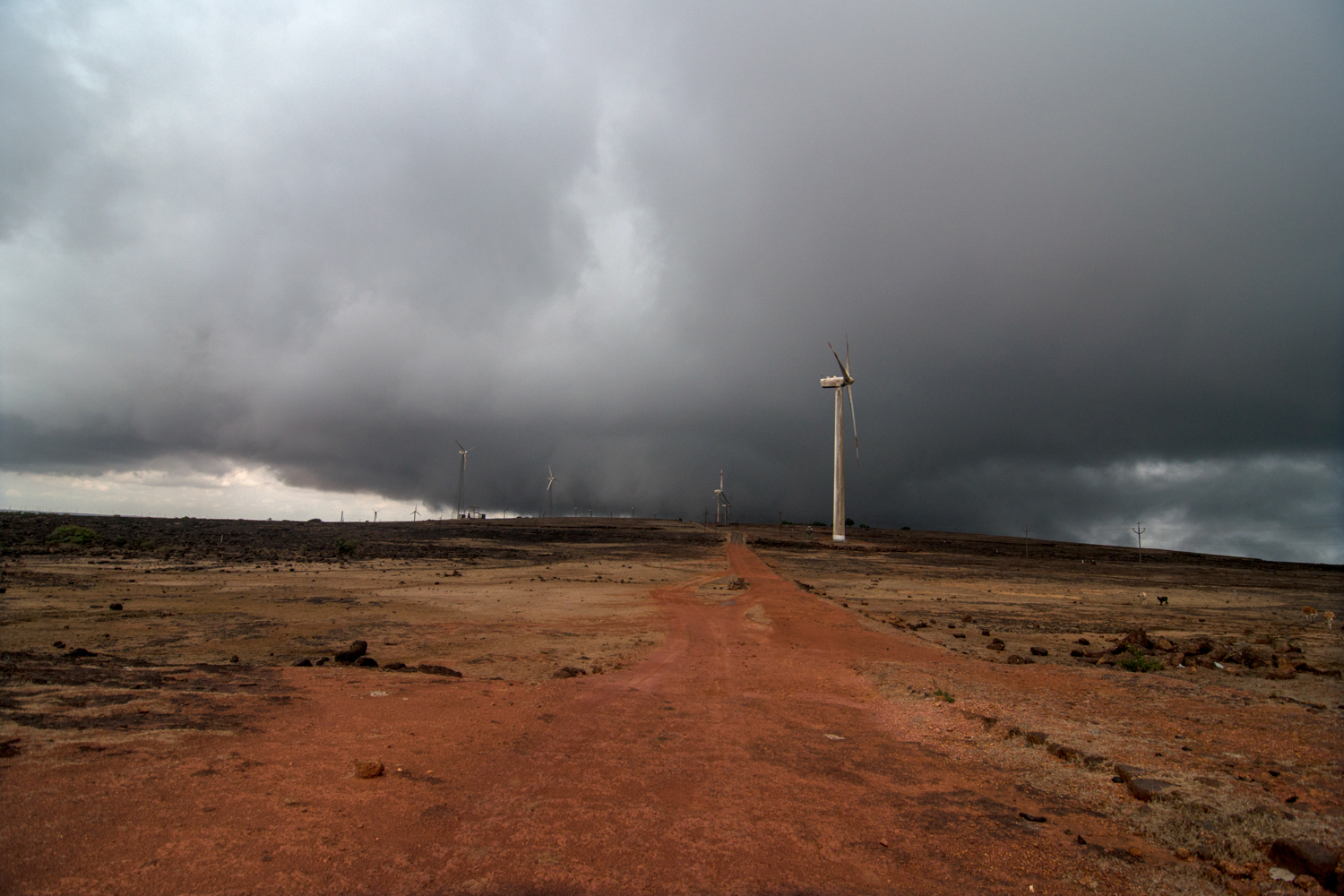  With the beginning of June, the monsoon clouds make their way over the plateau. 