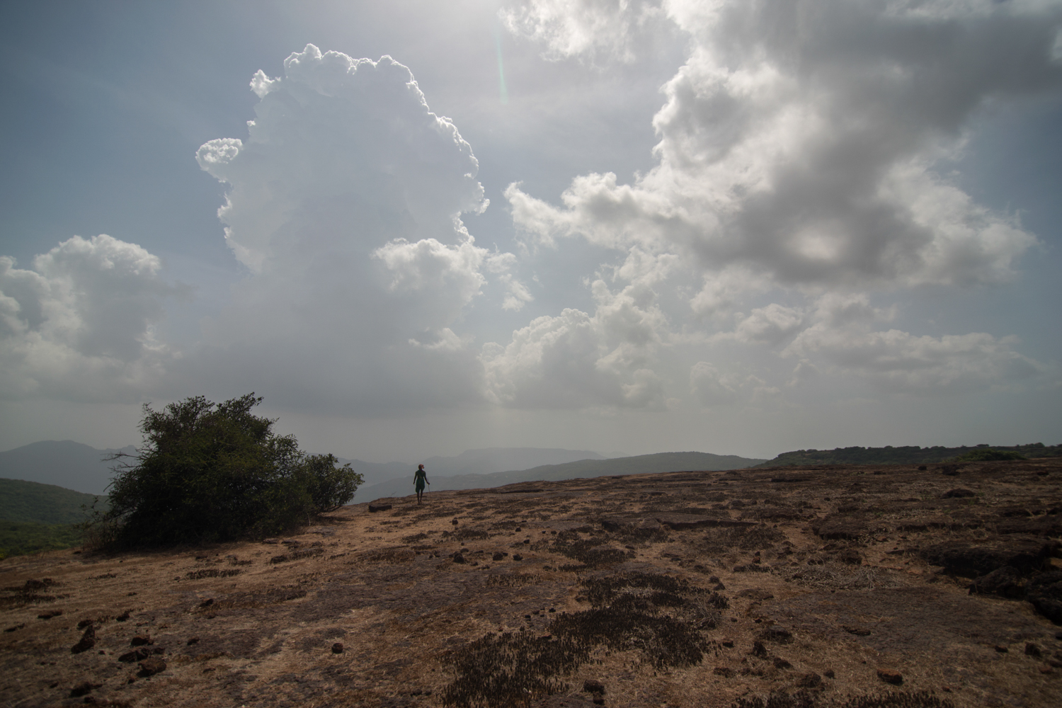  From tiny hamlets of the Koyna Tiger reserve, women bring their livestock to graze on the plateau. This woman stands on the edge of the plateau looking for her cattle. 