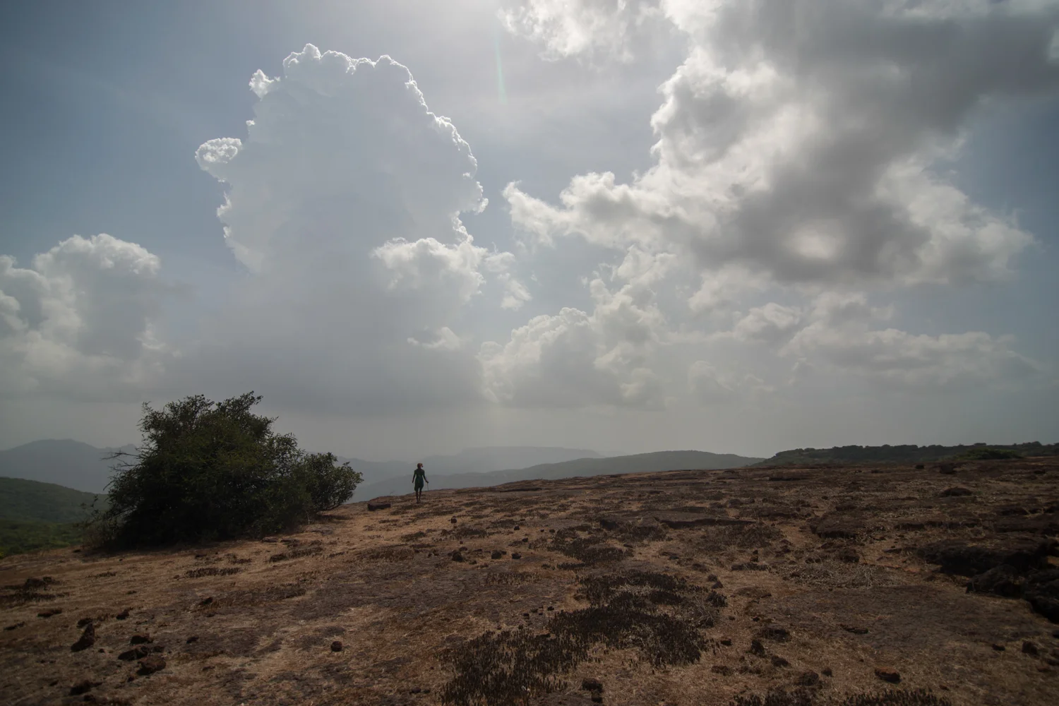 From tiny hamlets of the Koyna Tiger reserve, women bring their livestock to graze on the plateau. This woman stands on the edge of the plateau looking for her cattle.